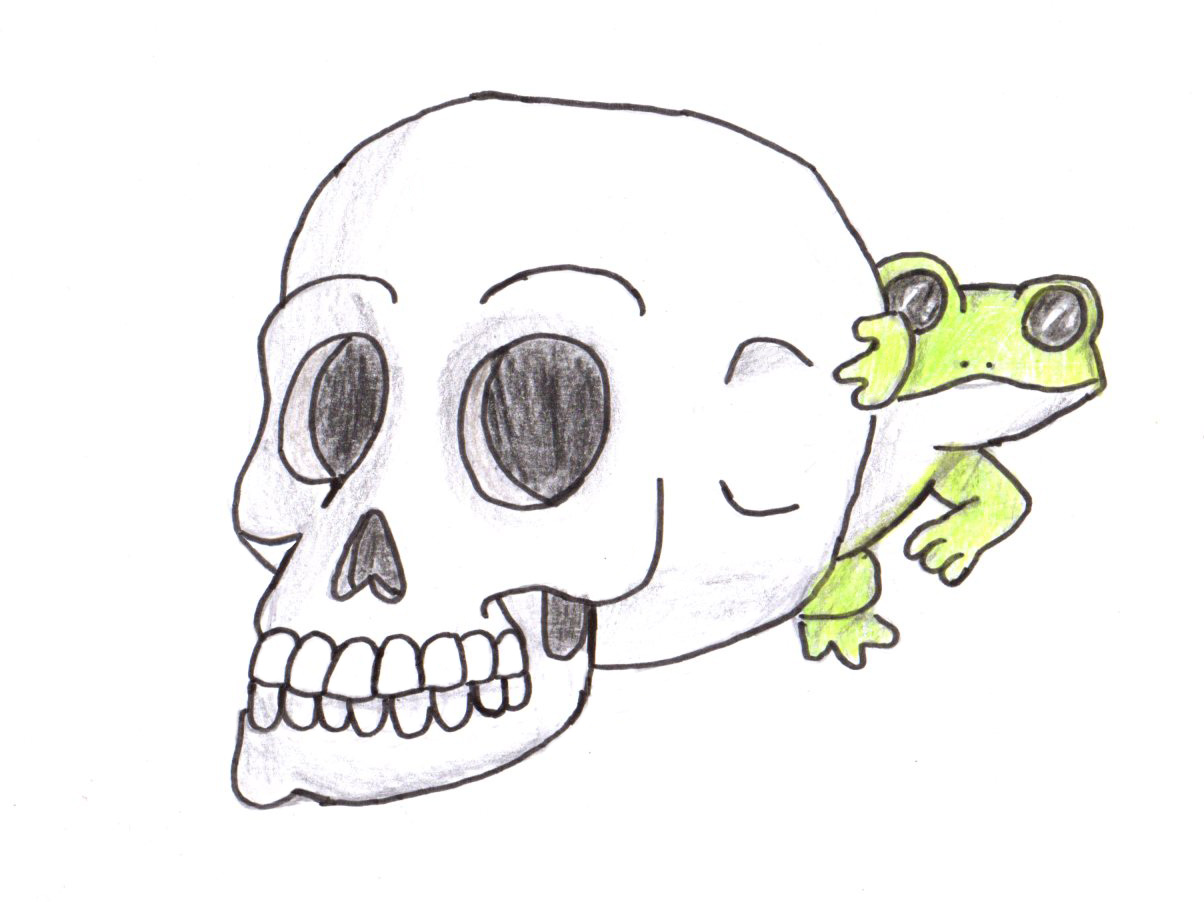 a cartoon-styled drawing of a green frog peeking around a skull
