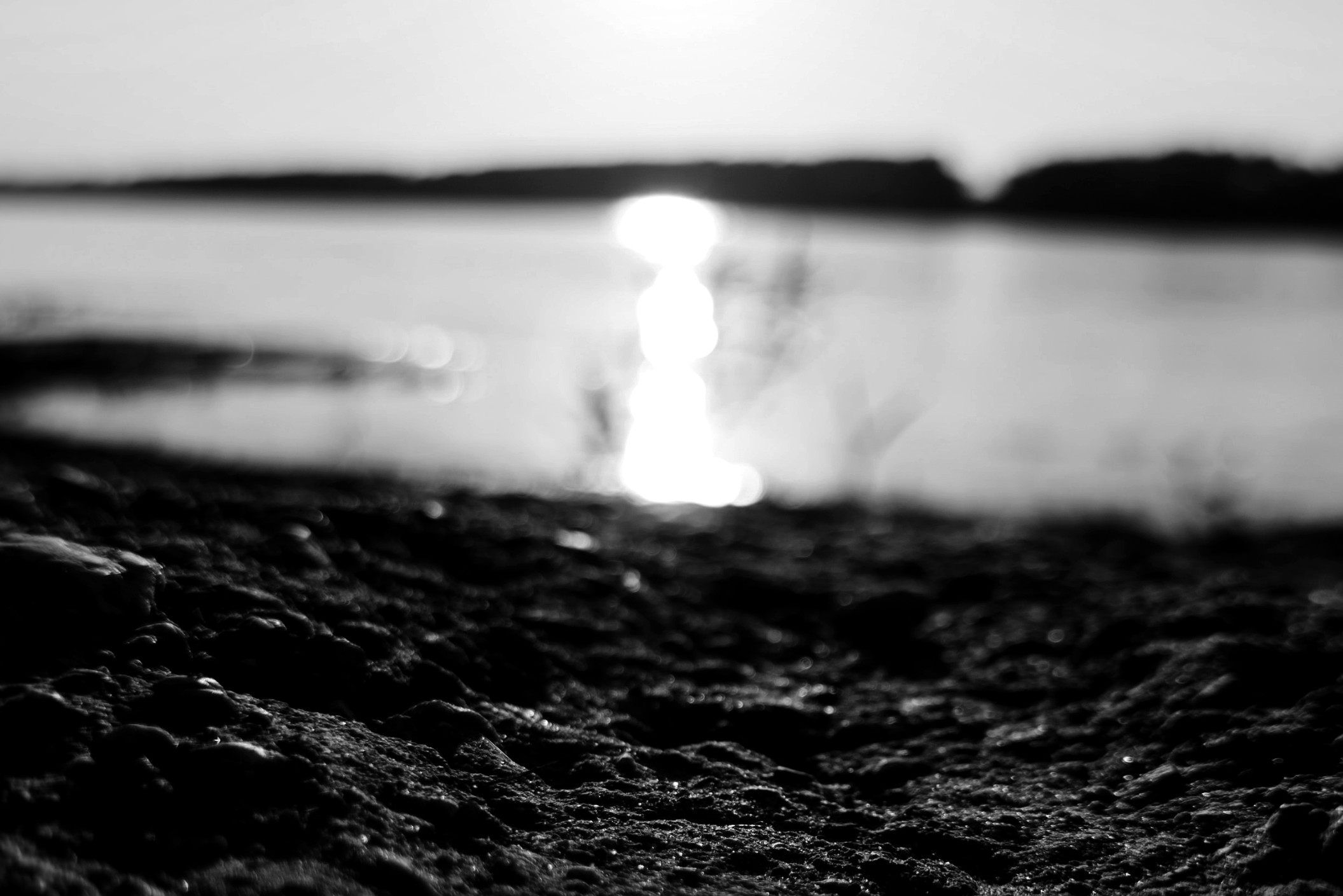 grayscale riverbank close-up