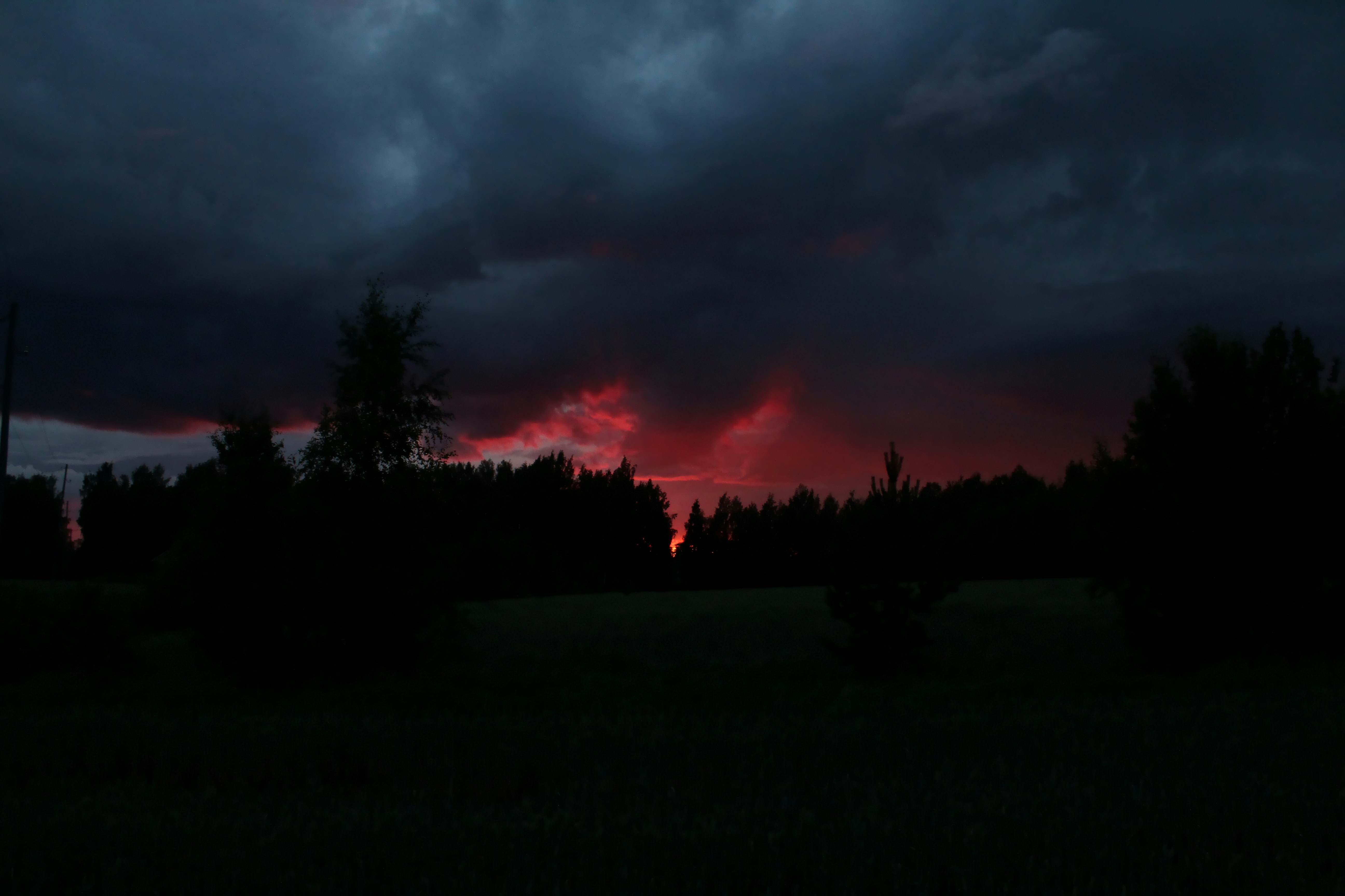 red sunset veiled behind dark treeline