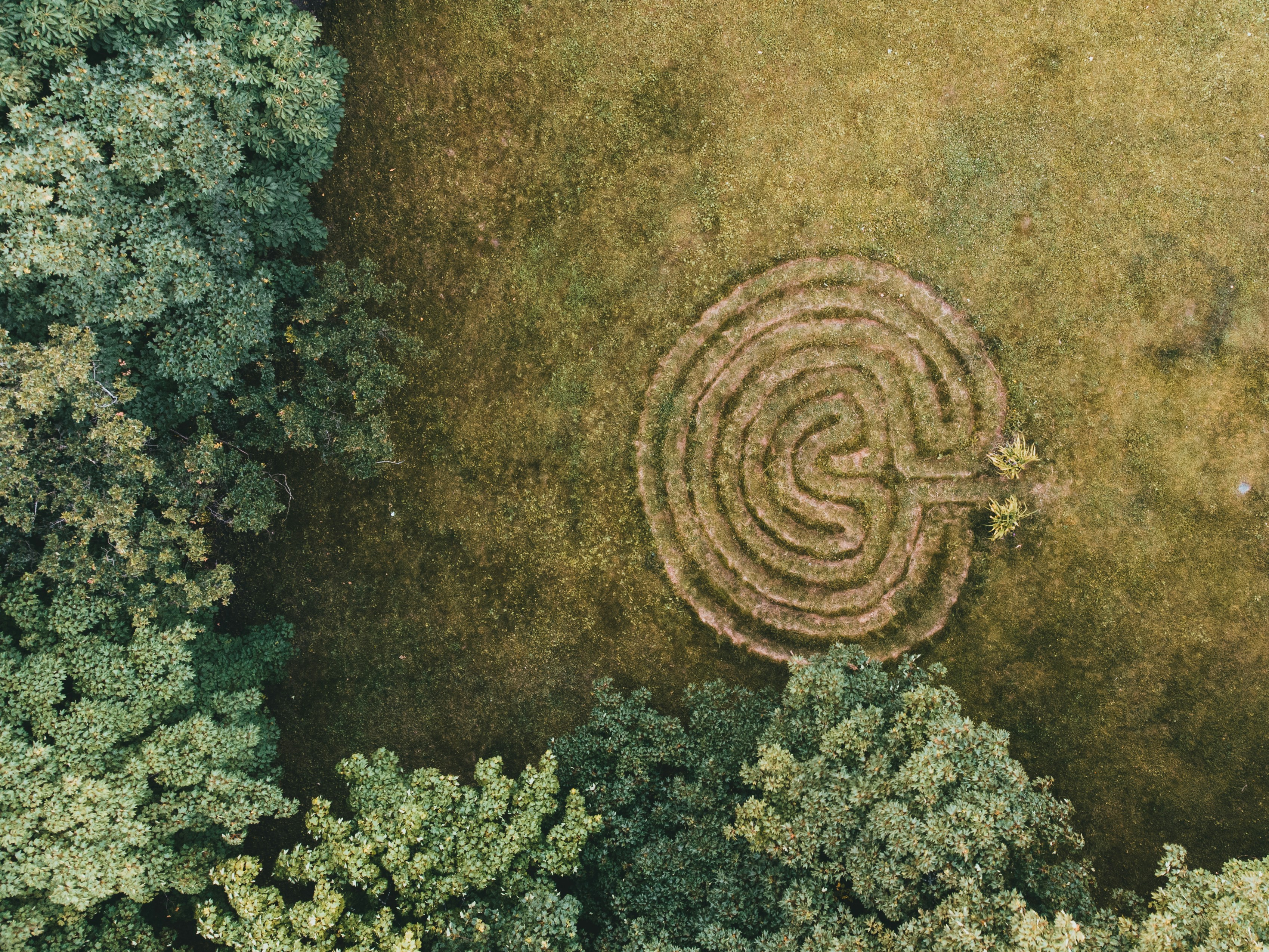 overview of a small garden labyrinth