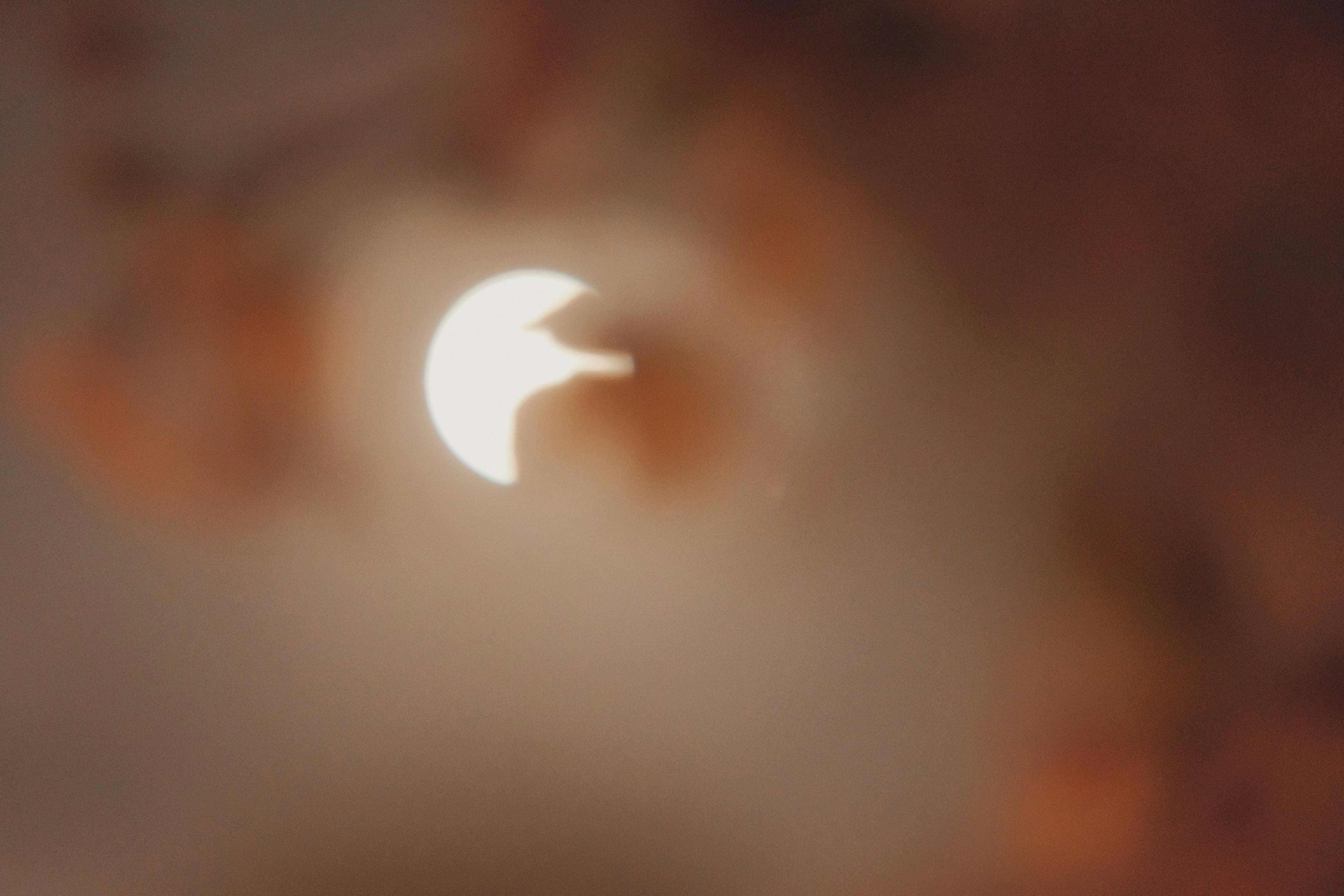 sun eclipsed among pink and orange clouds