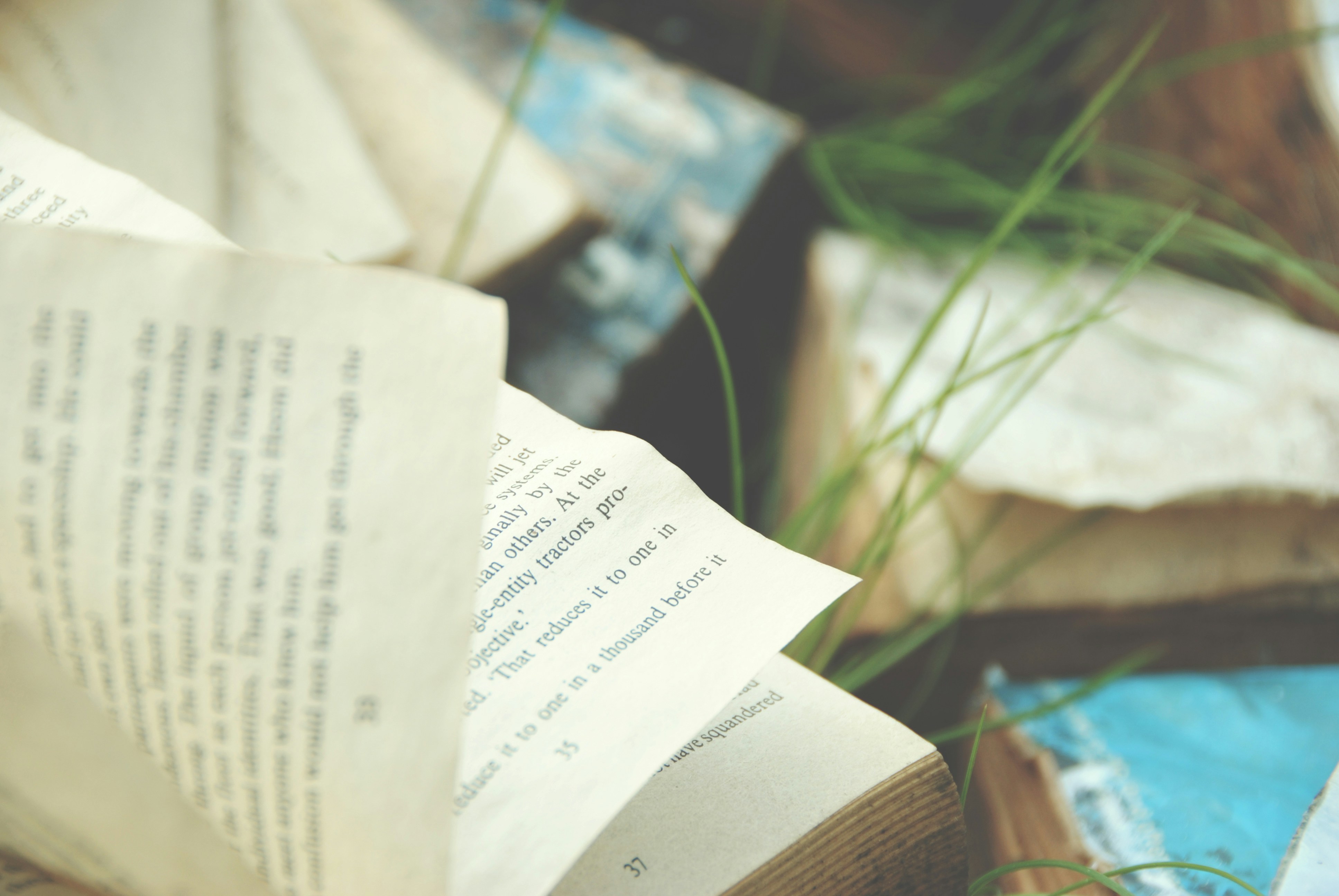 book with grass peeking behind the pages