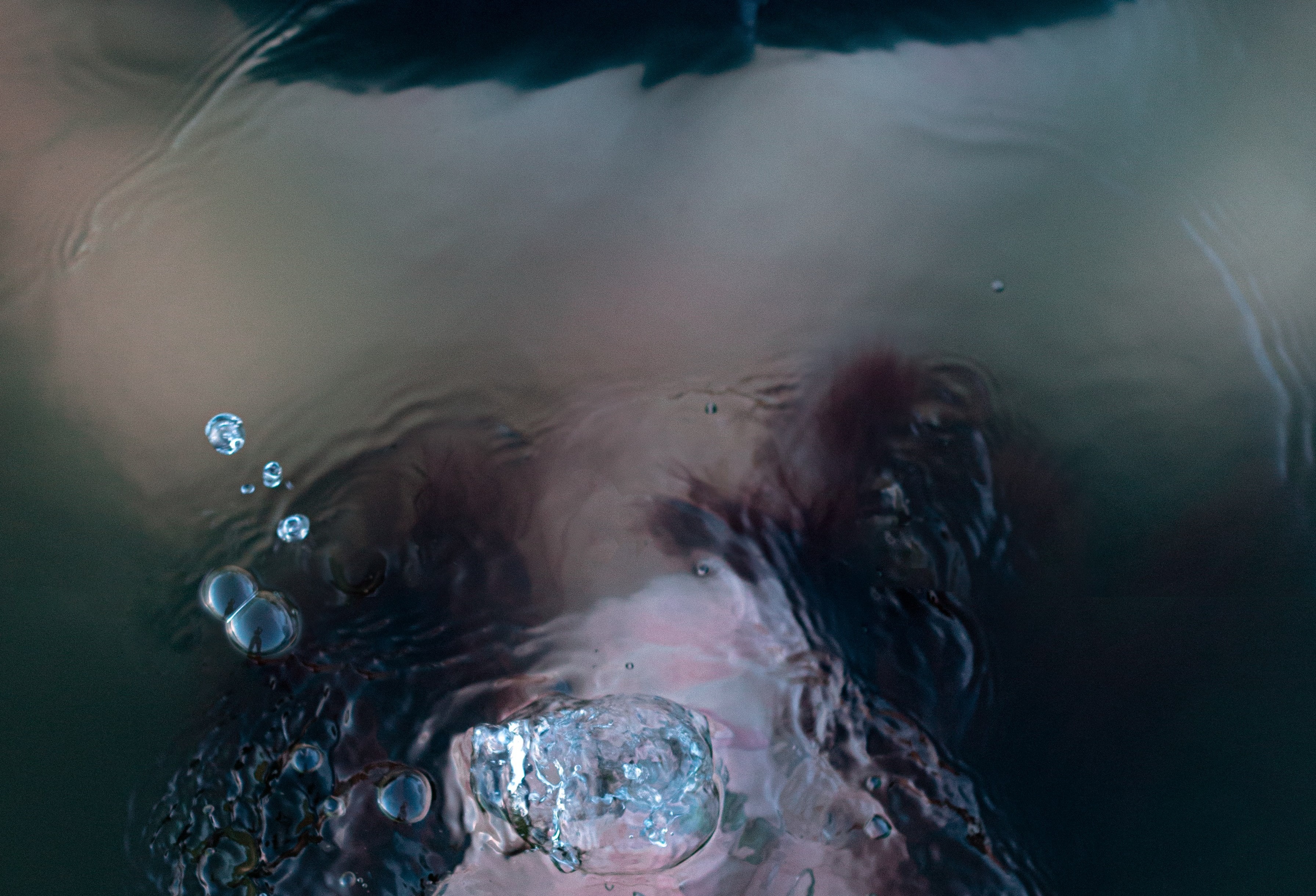 woman's face underwater