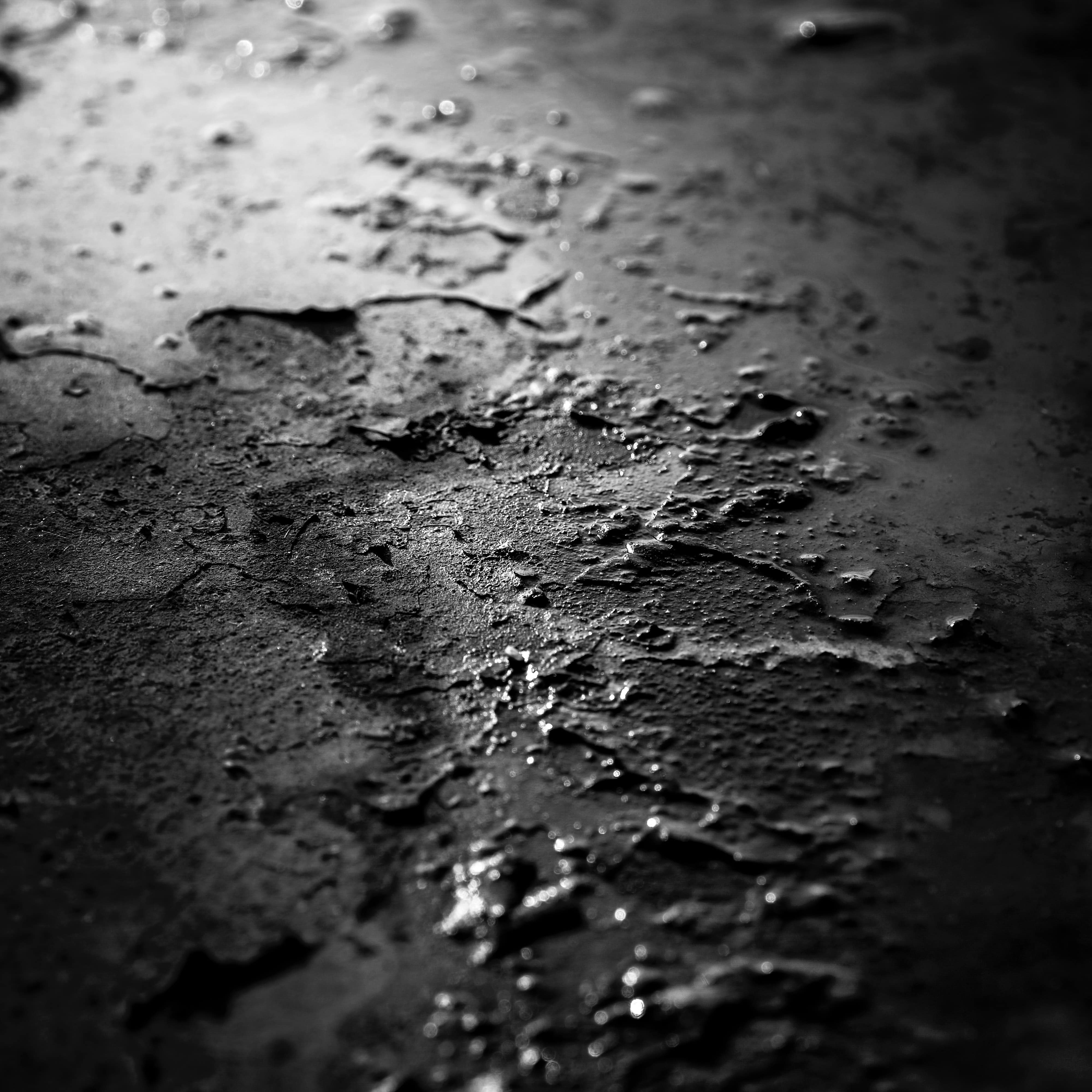 grayscale raindrops on ground