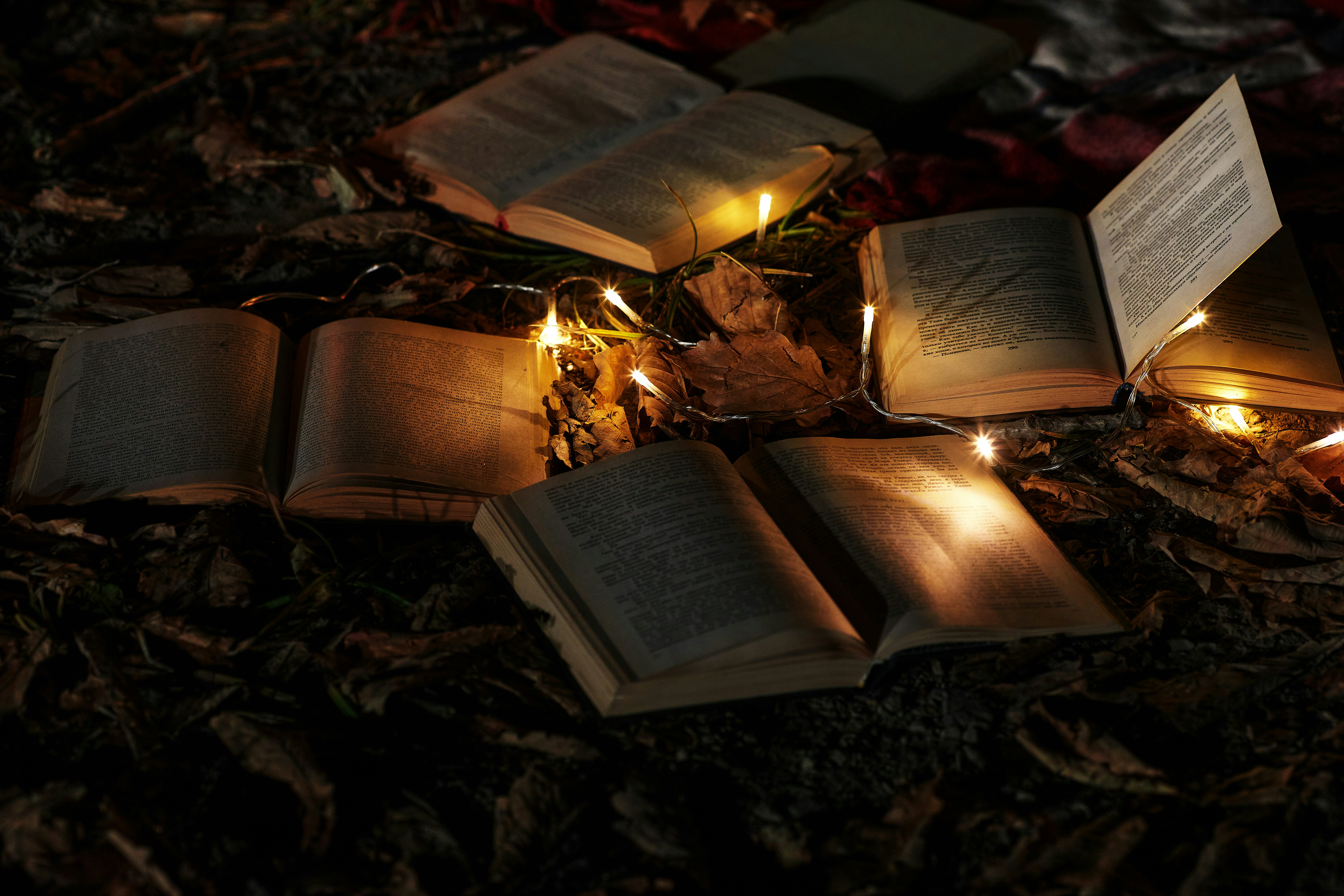 books on autumn grass with fairy lights in-between them