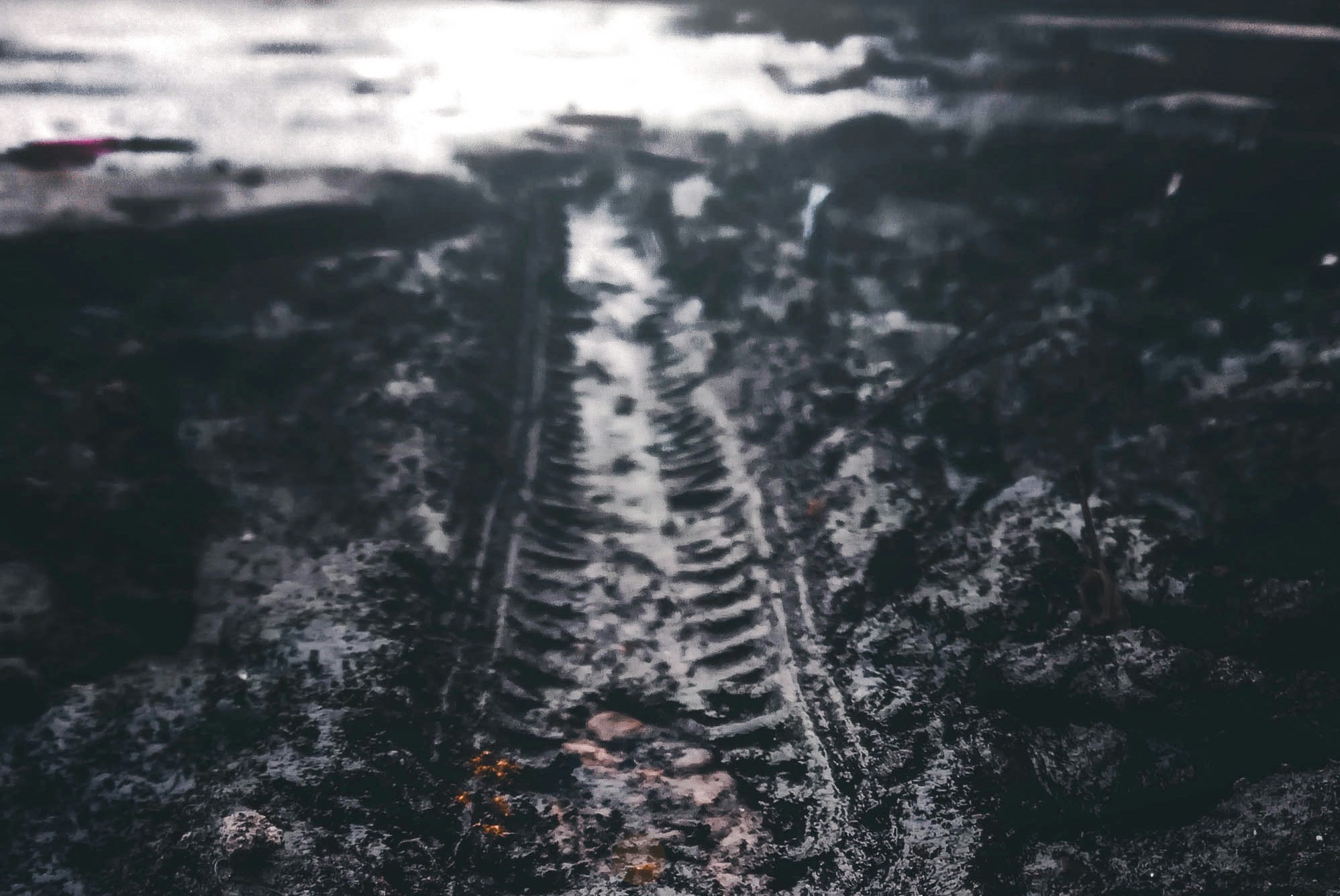 desolate and muddy tire track going into distance