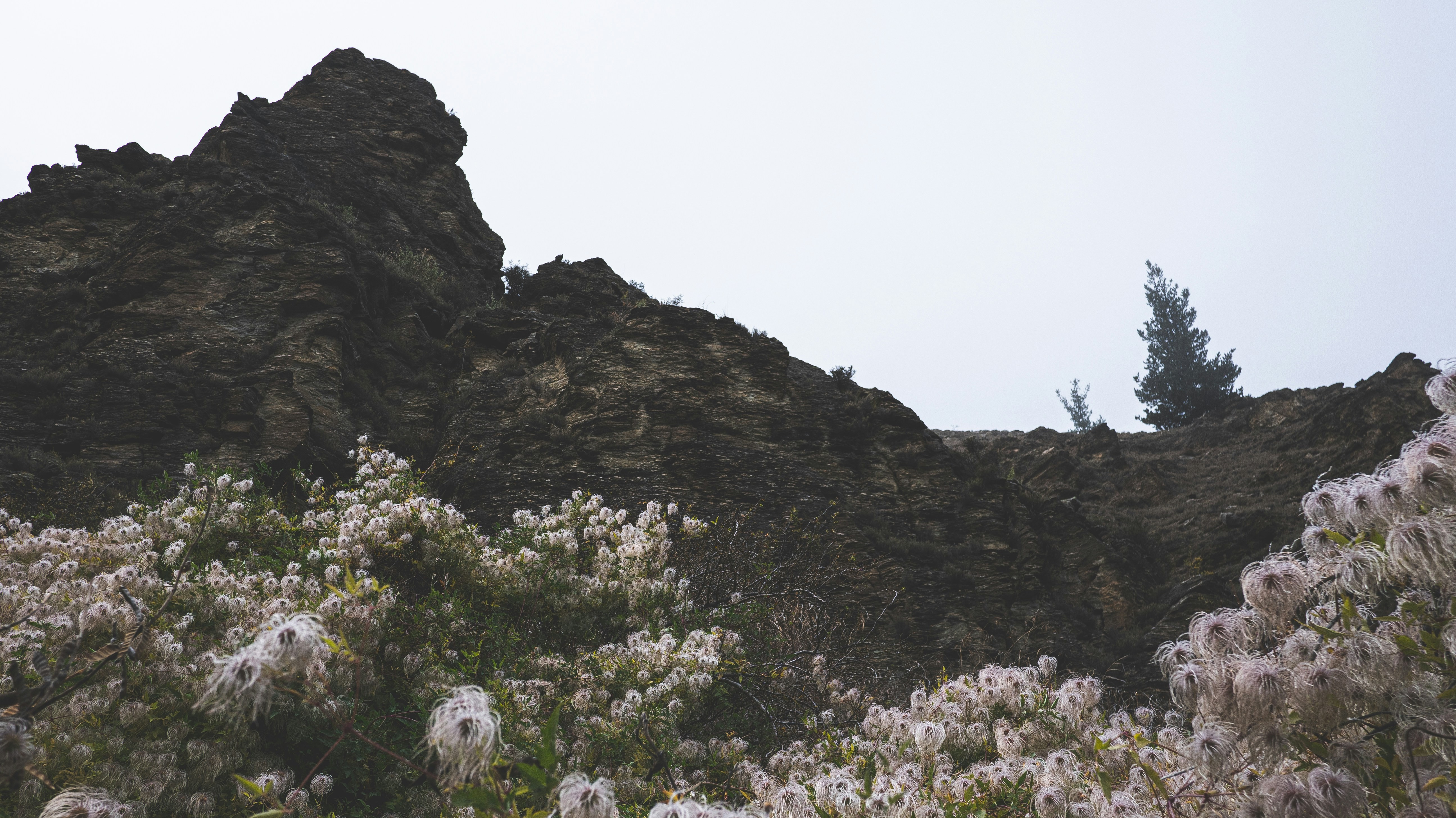 rocky outcrop and wild flowers against the sky