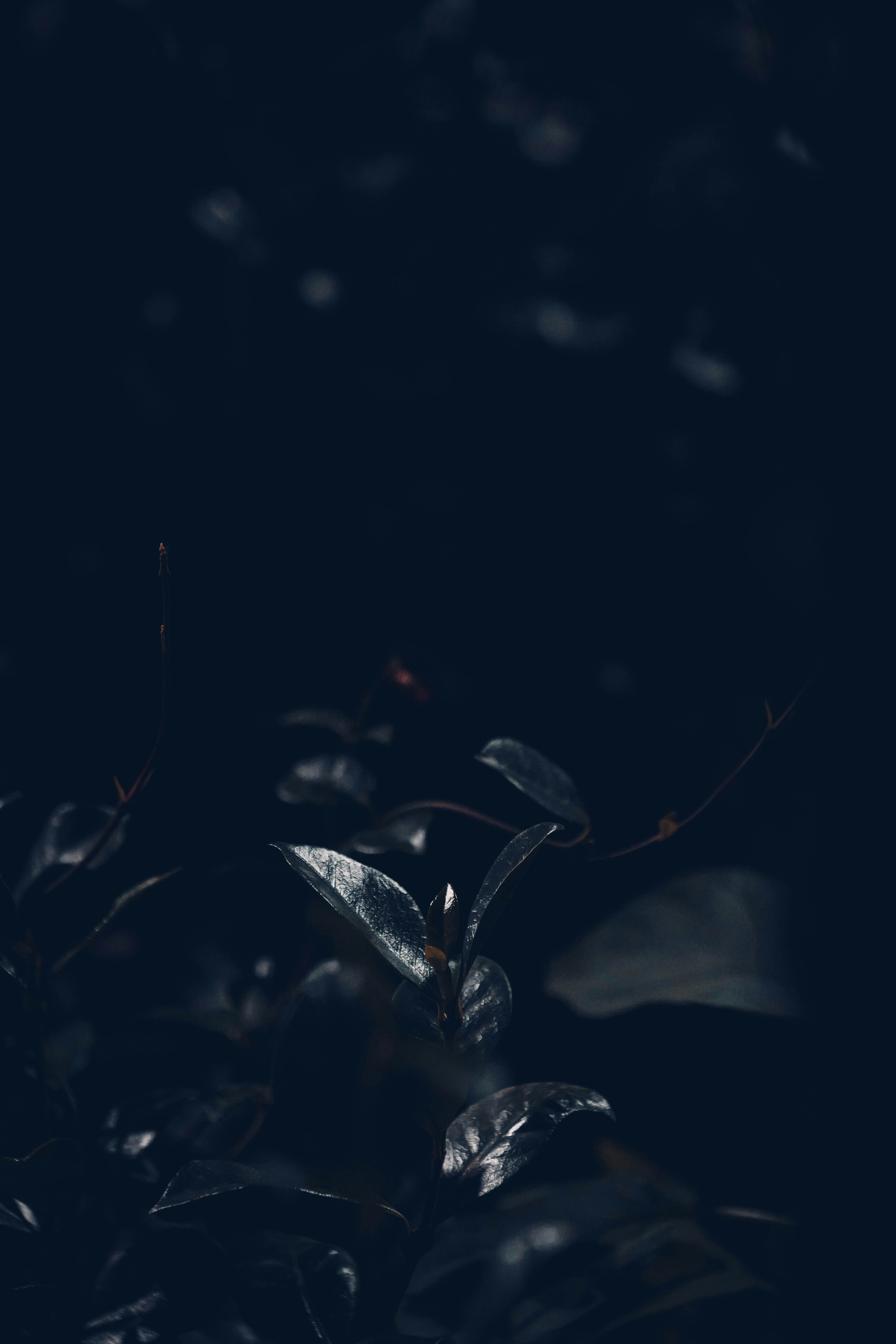 issue cover thumbnail