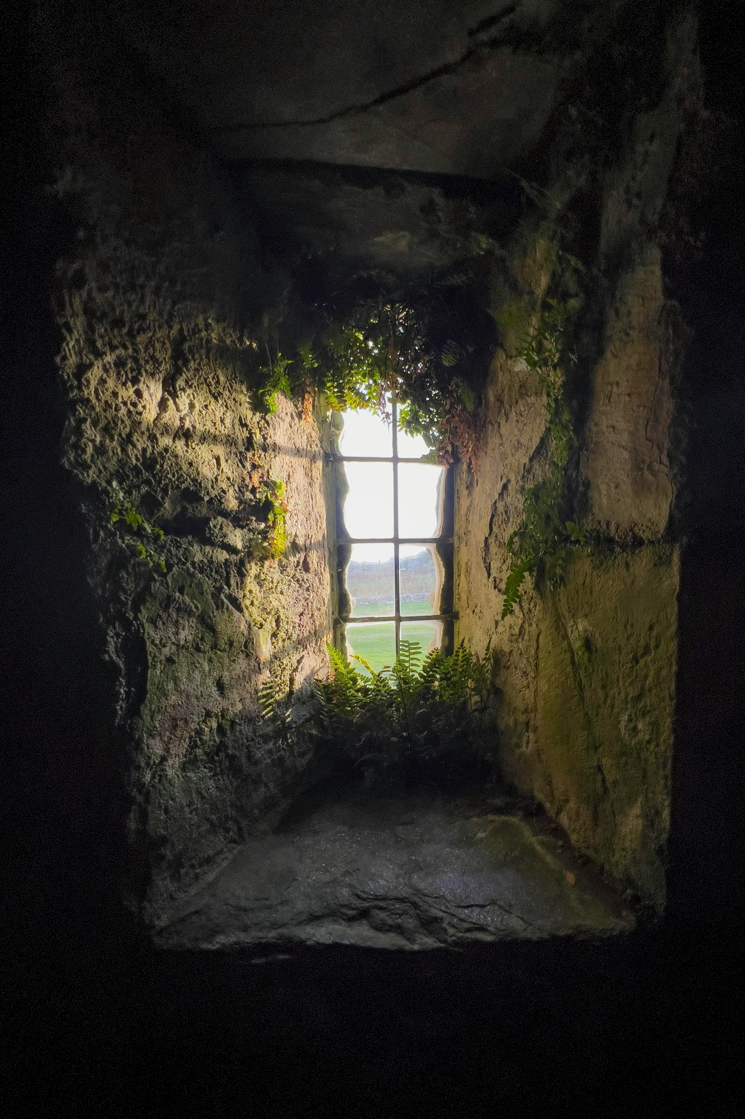 issue cover thumbnail