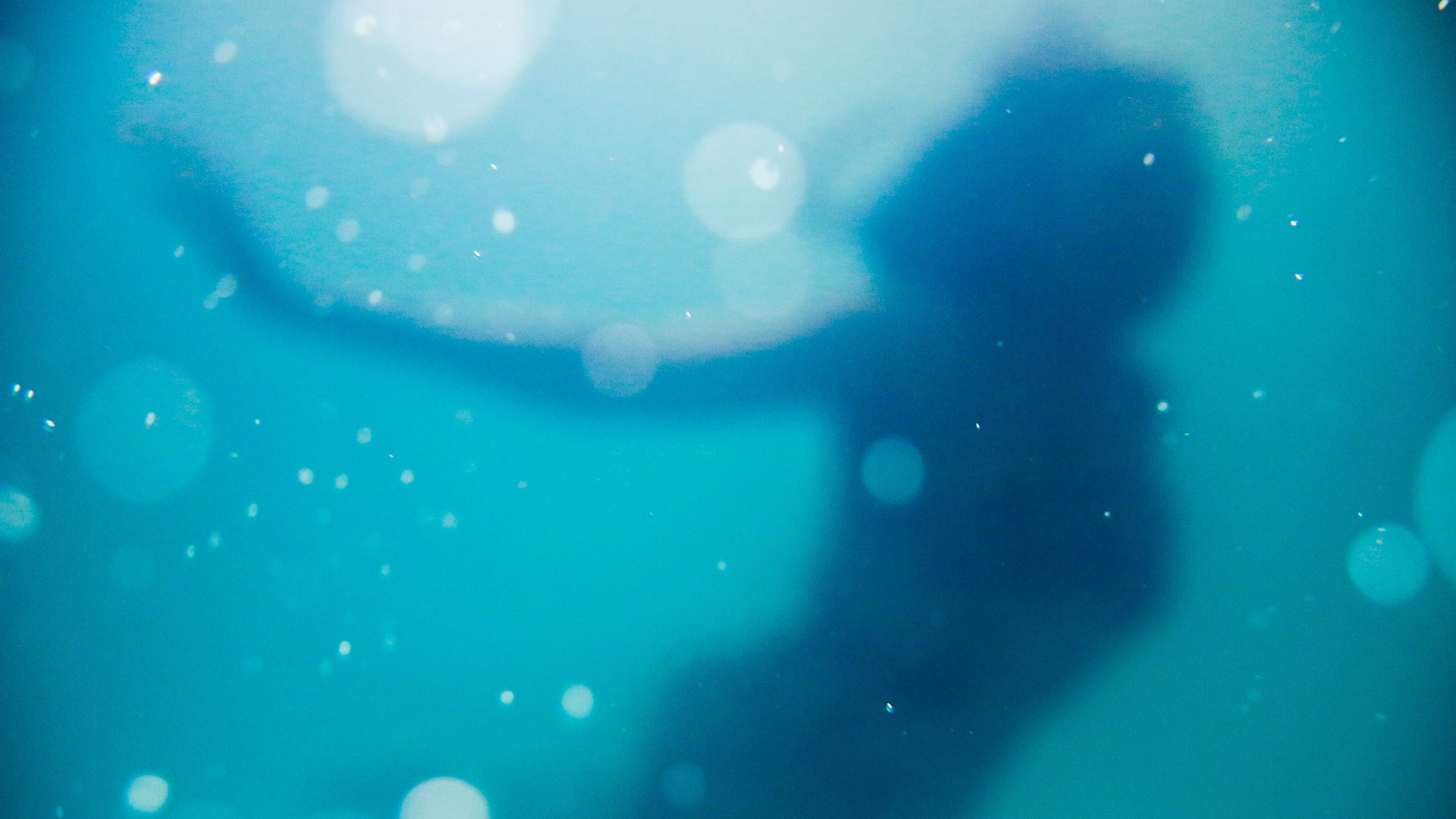 woman's silouhette under water