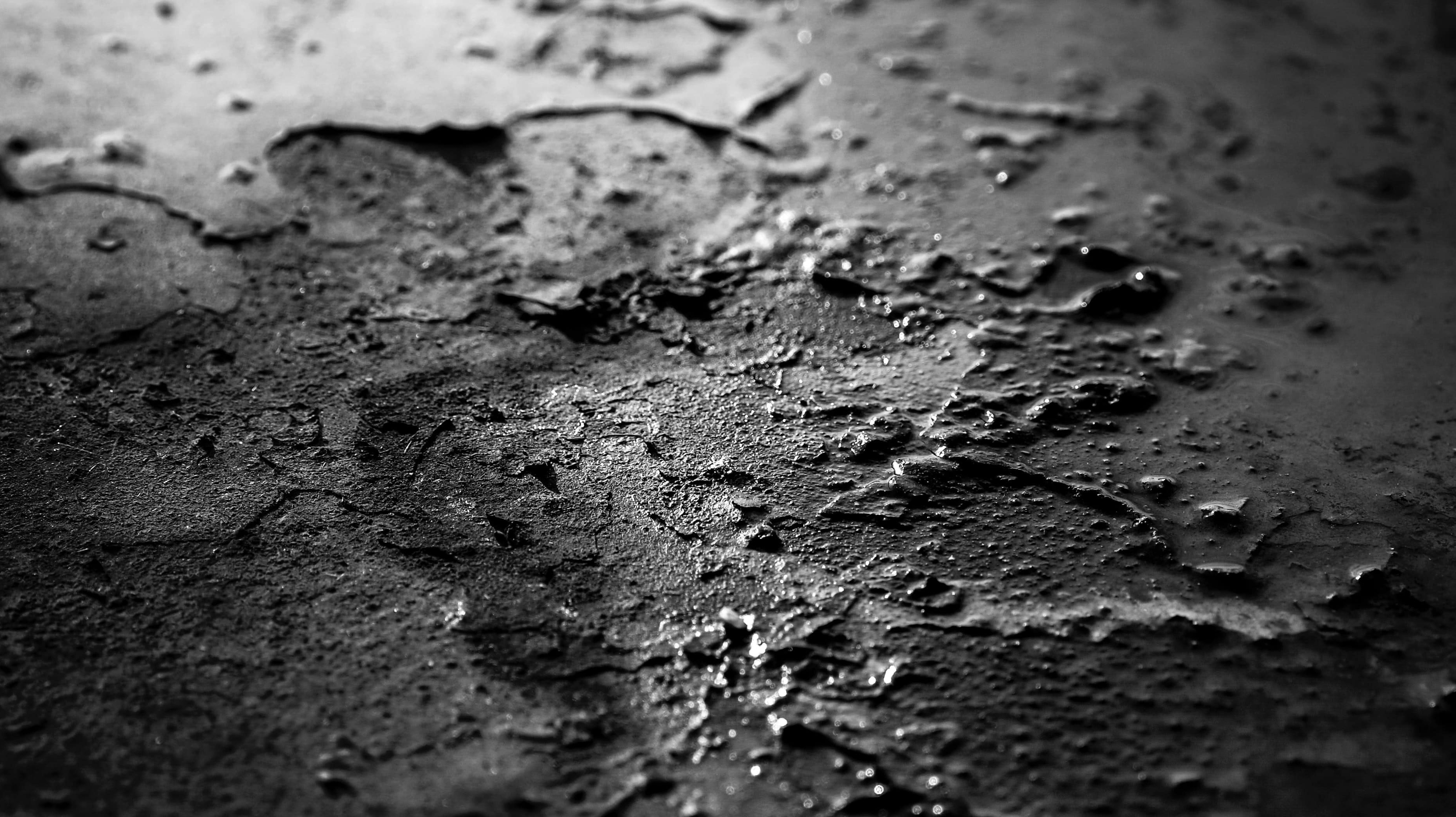 grayscale raindrops on ground