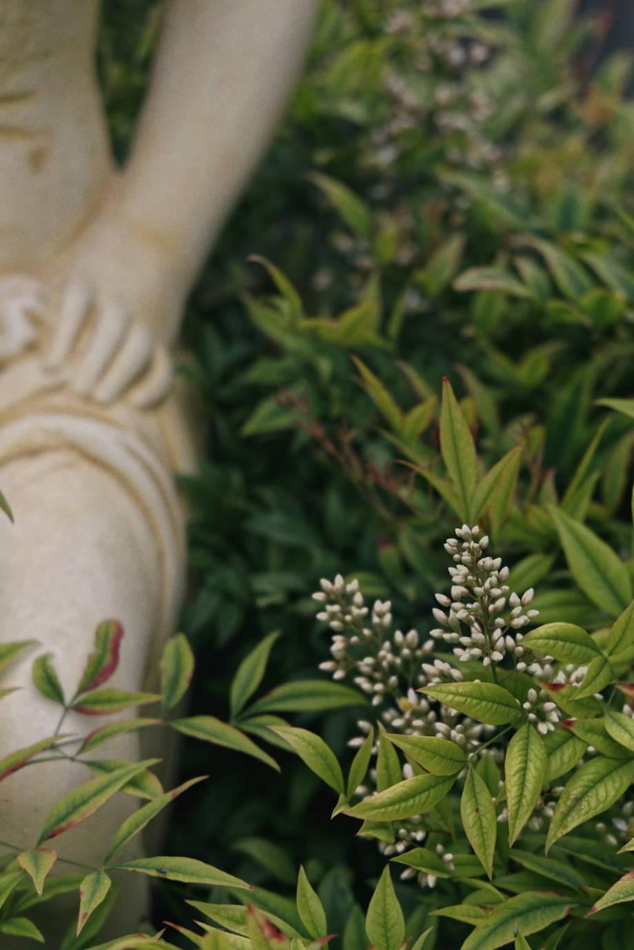 issue cover thumbnail