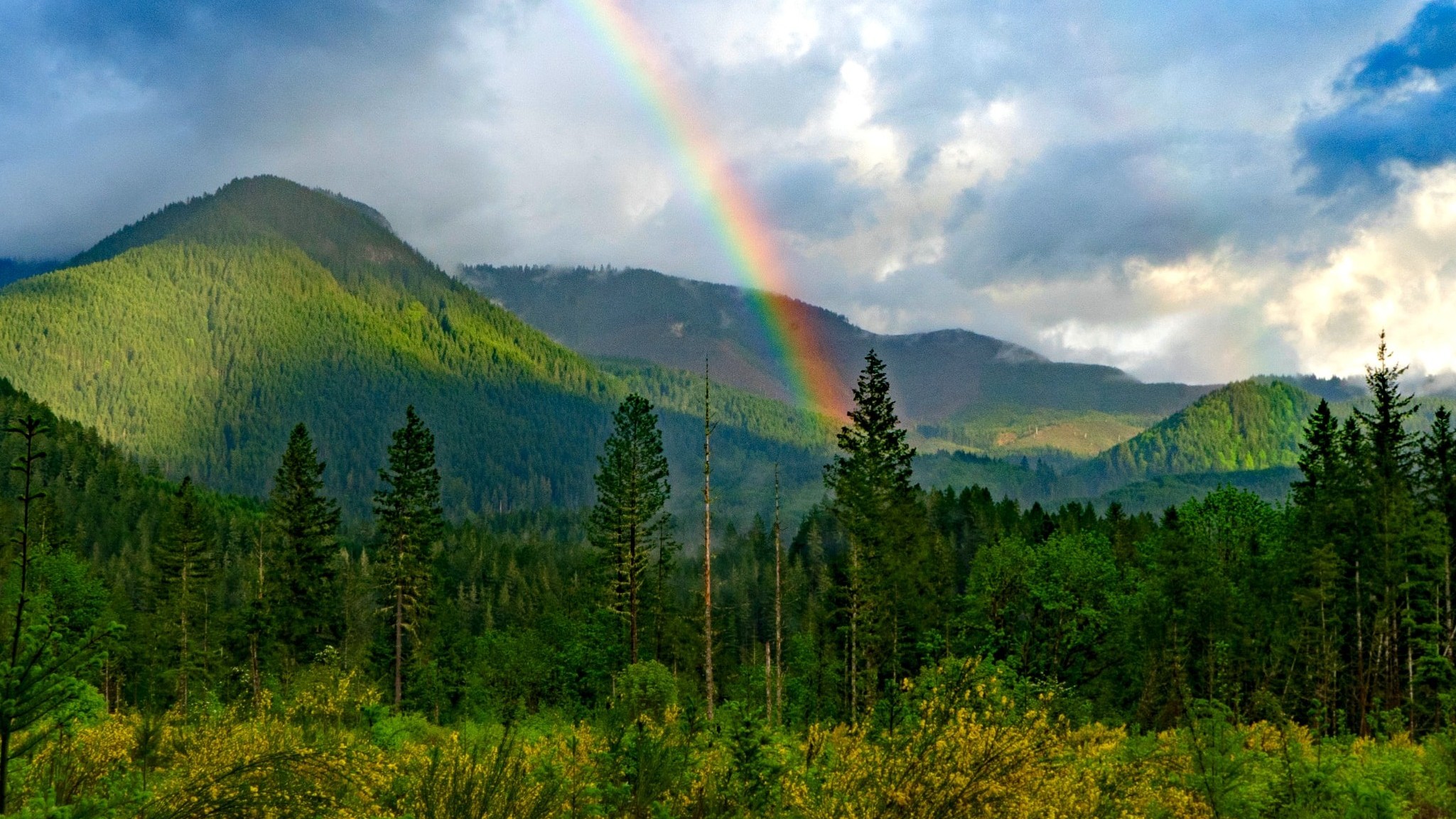 rainbow in green mountains