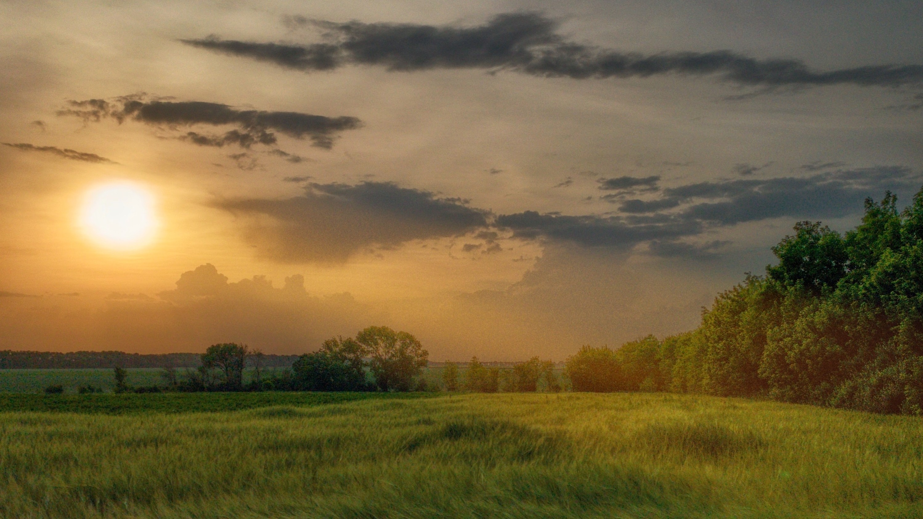 sun setting over grassy field