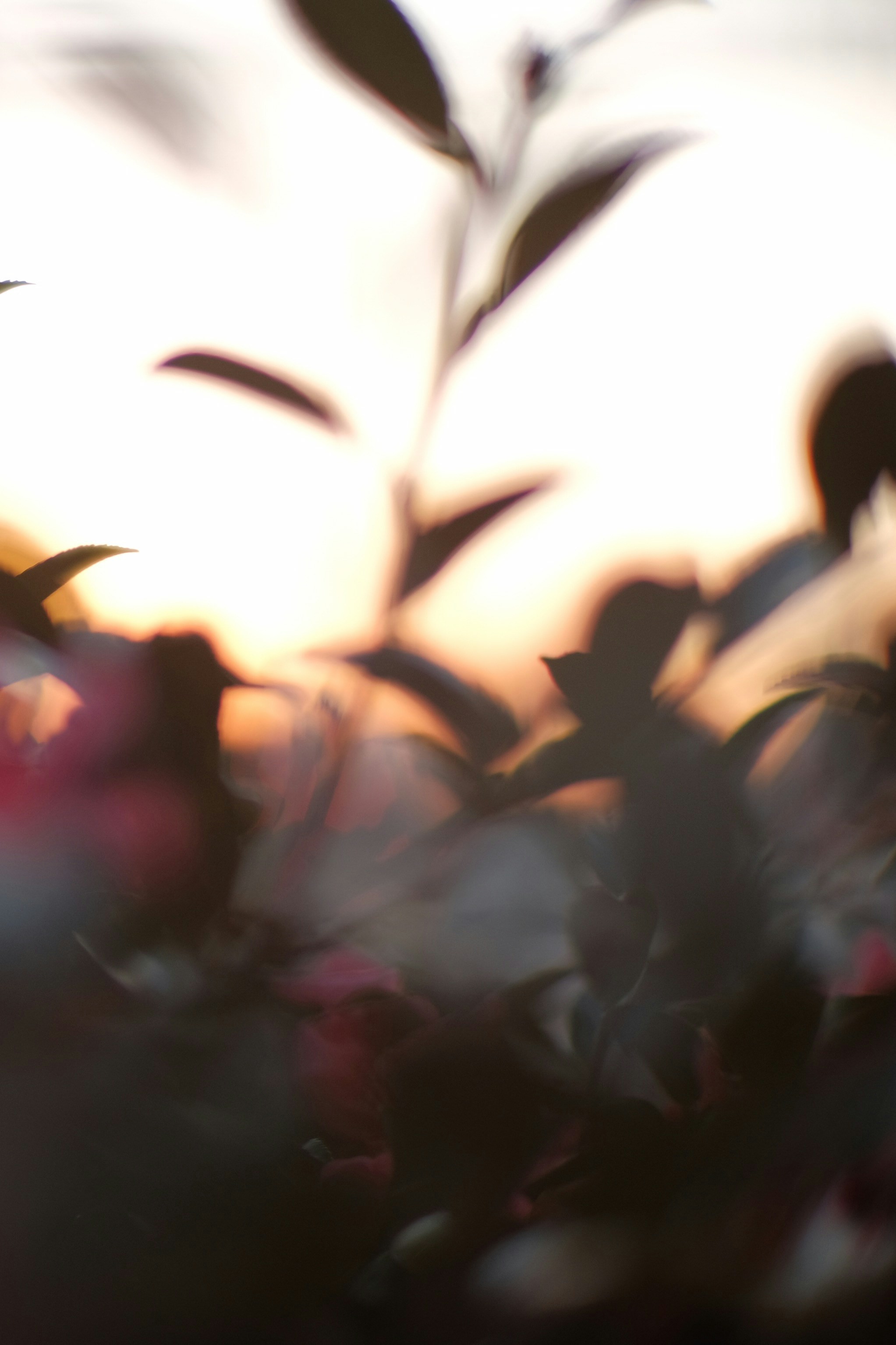 issue cover thumbnail