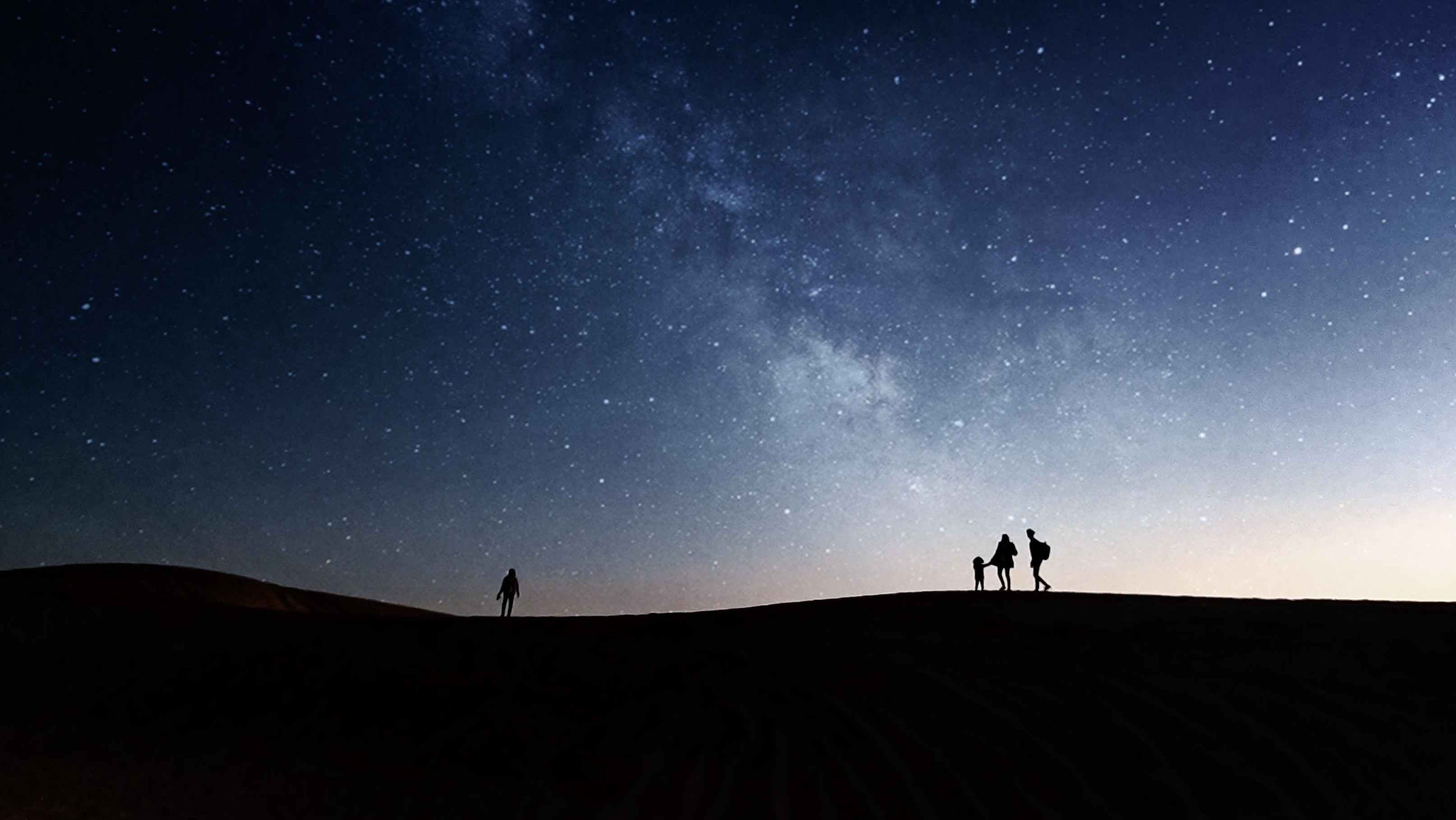 silhouetted people against night sky