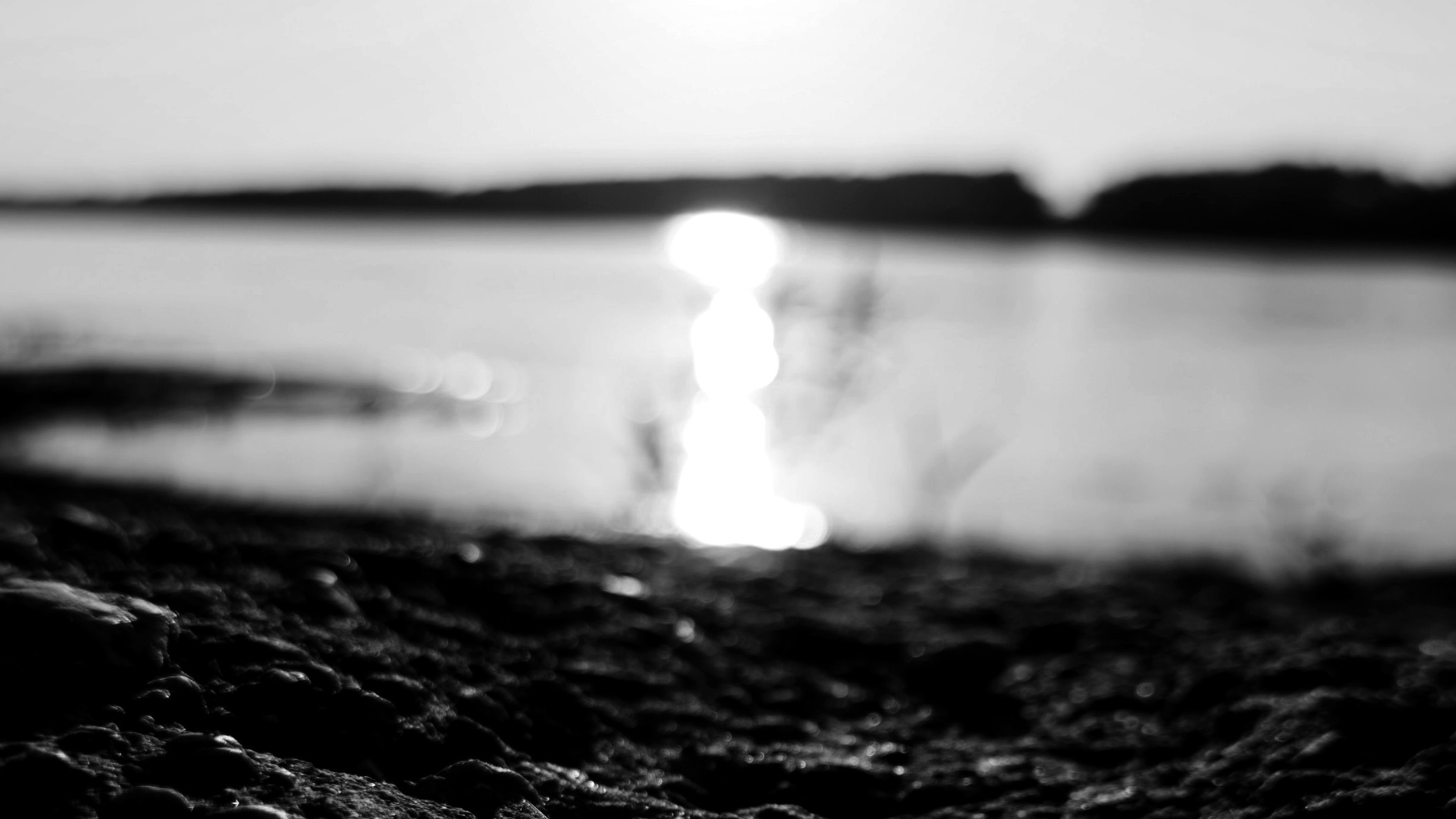 grayscale riverbank close-up