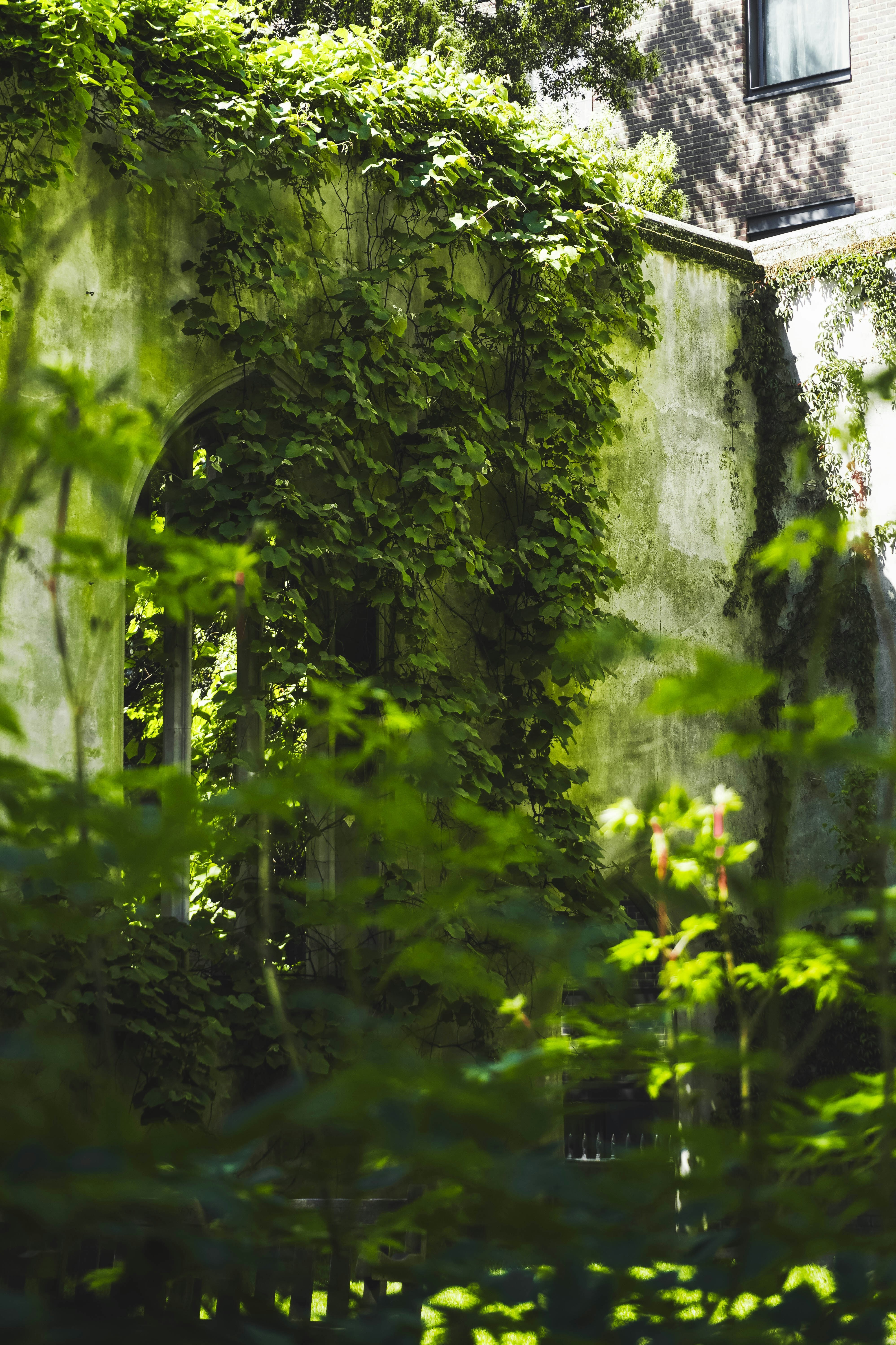 issue cover thumbnail