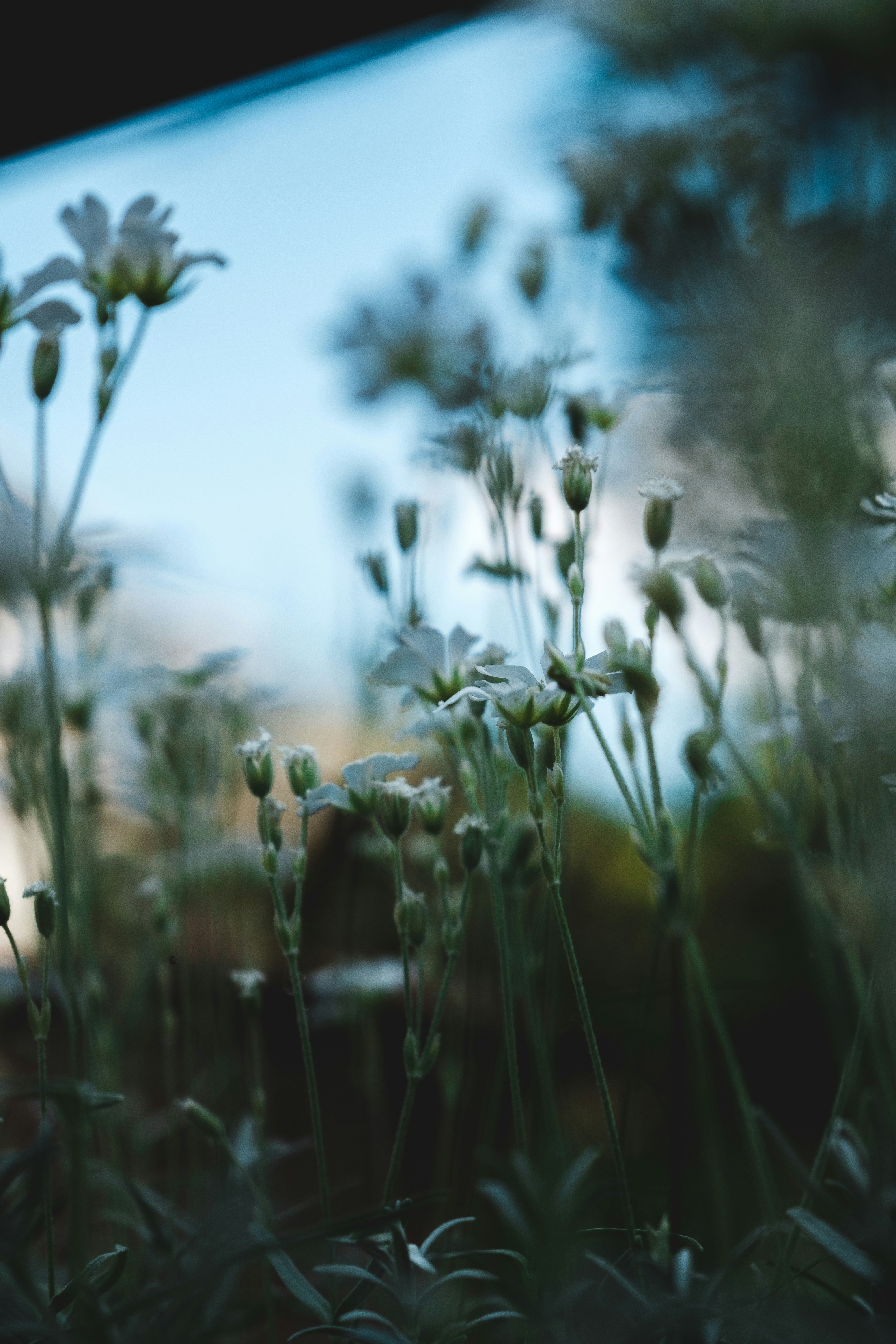 issue cover thumbnail