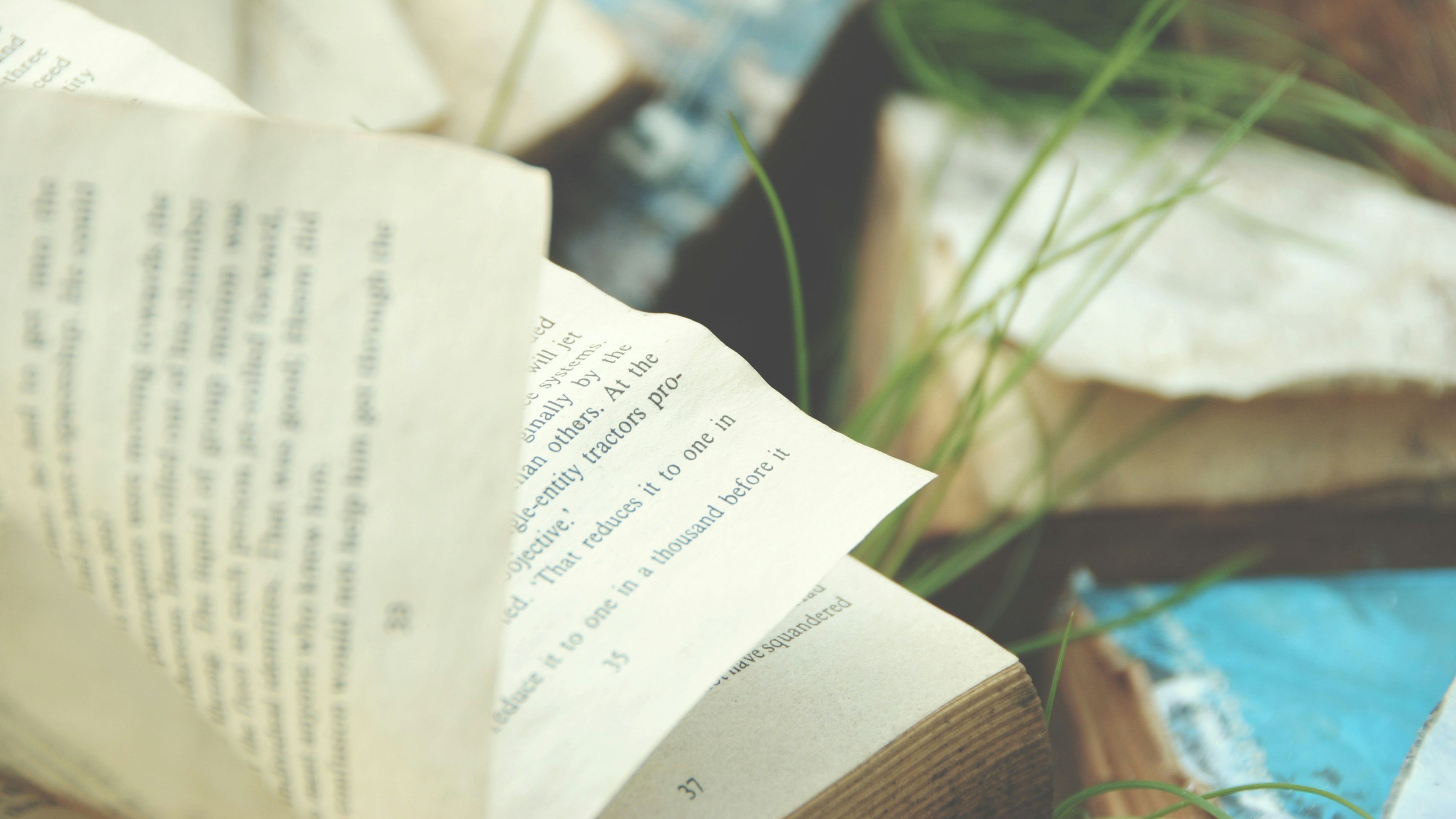 book with grass peeking behind the pages