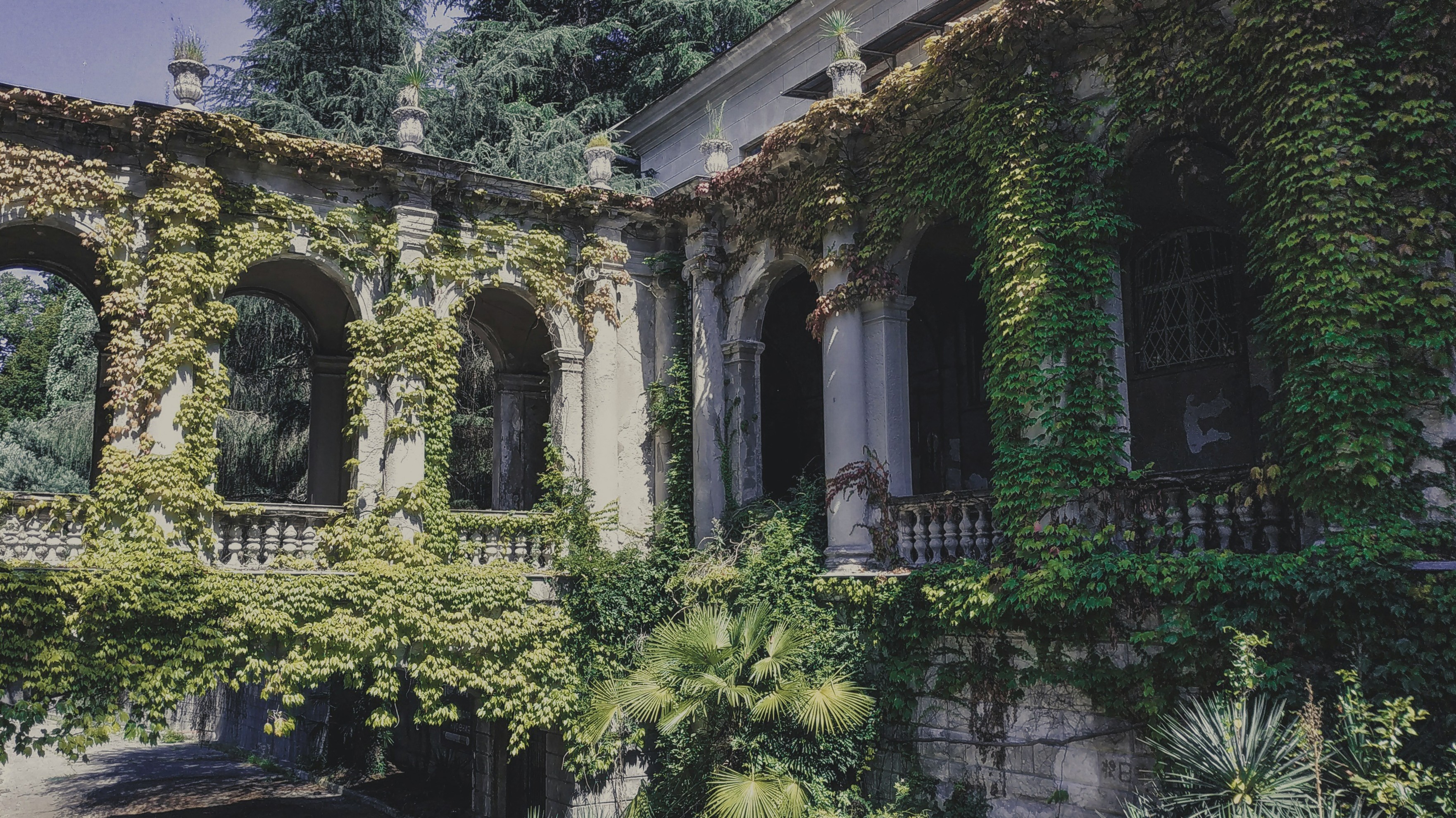 old garden arches with ivy