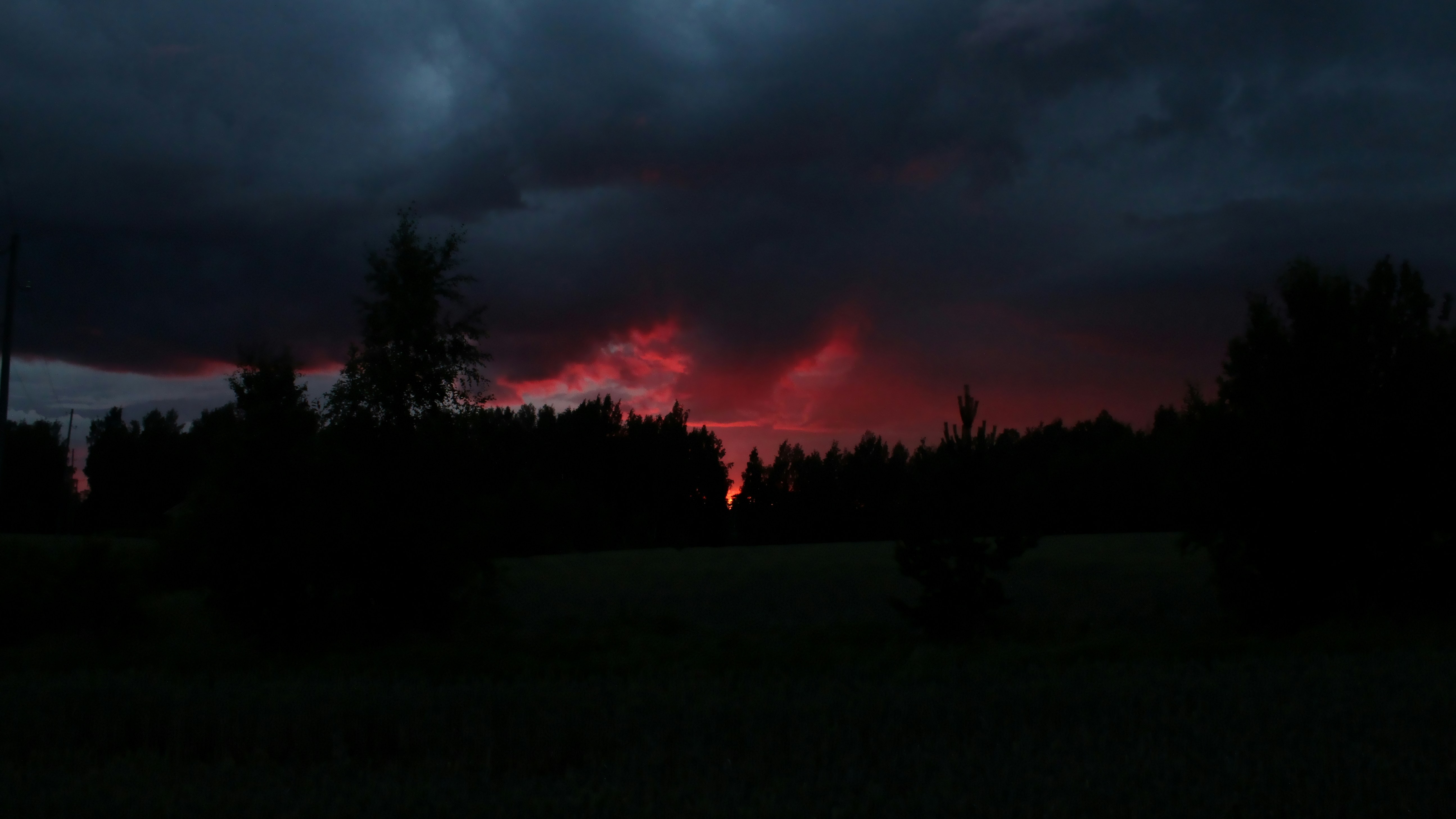 red sunset veiled behind dark treeline