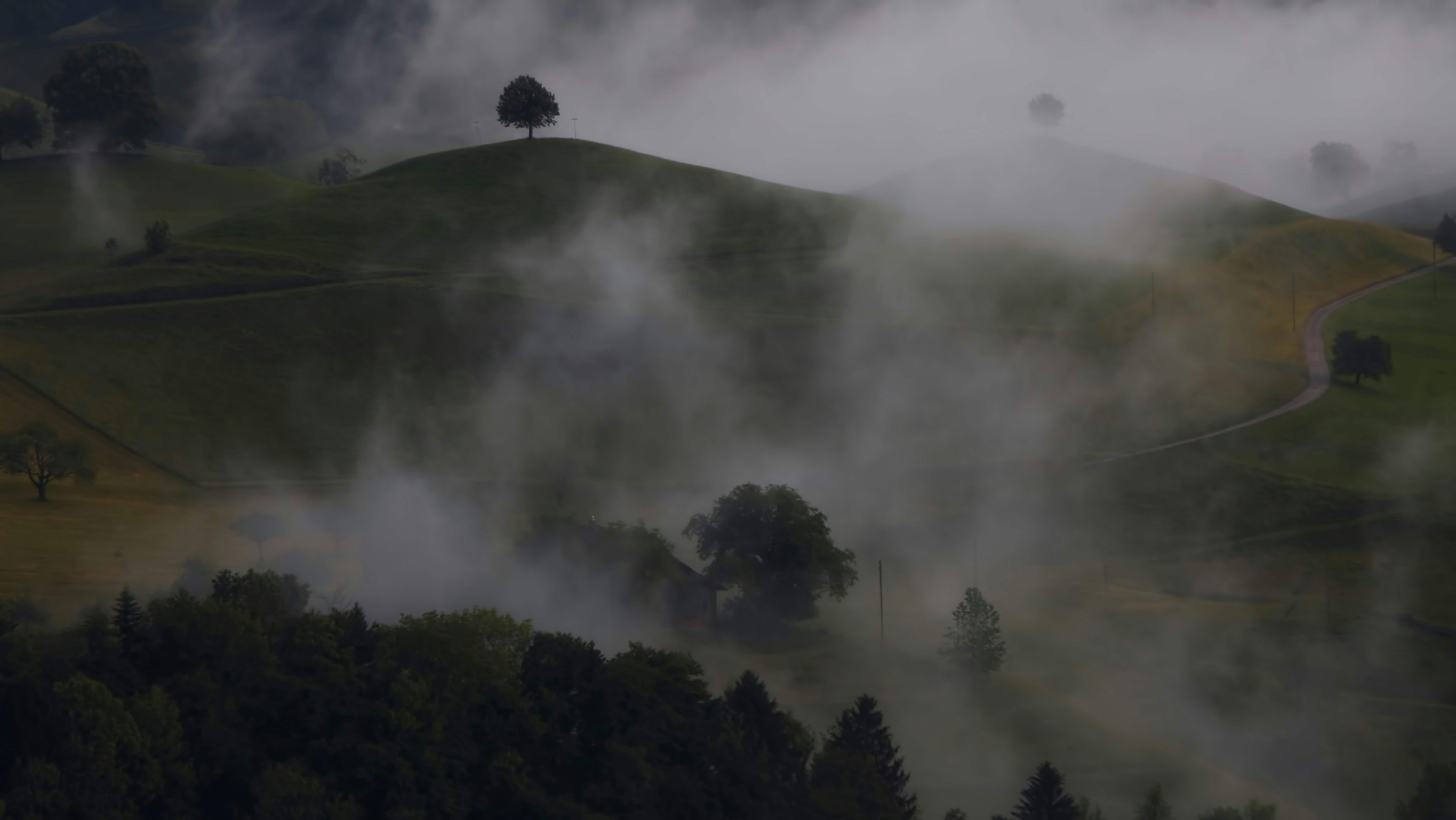 misty dark green hills