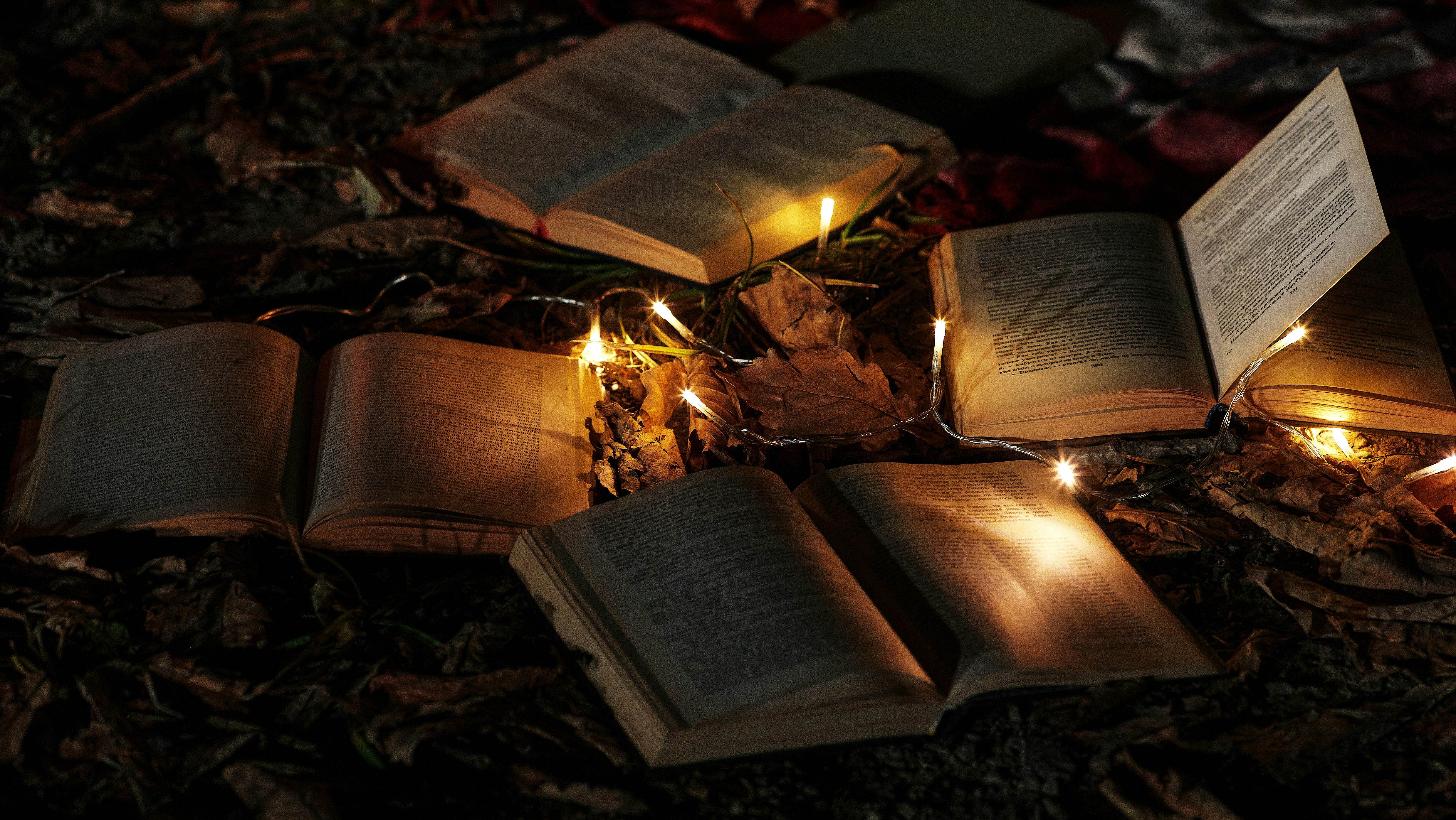 books on autumn grass with fairy lights in-between them