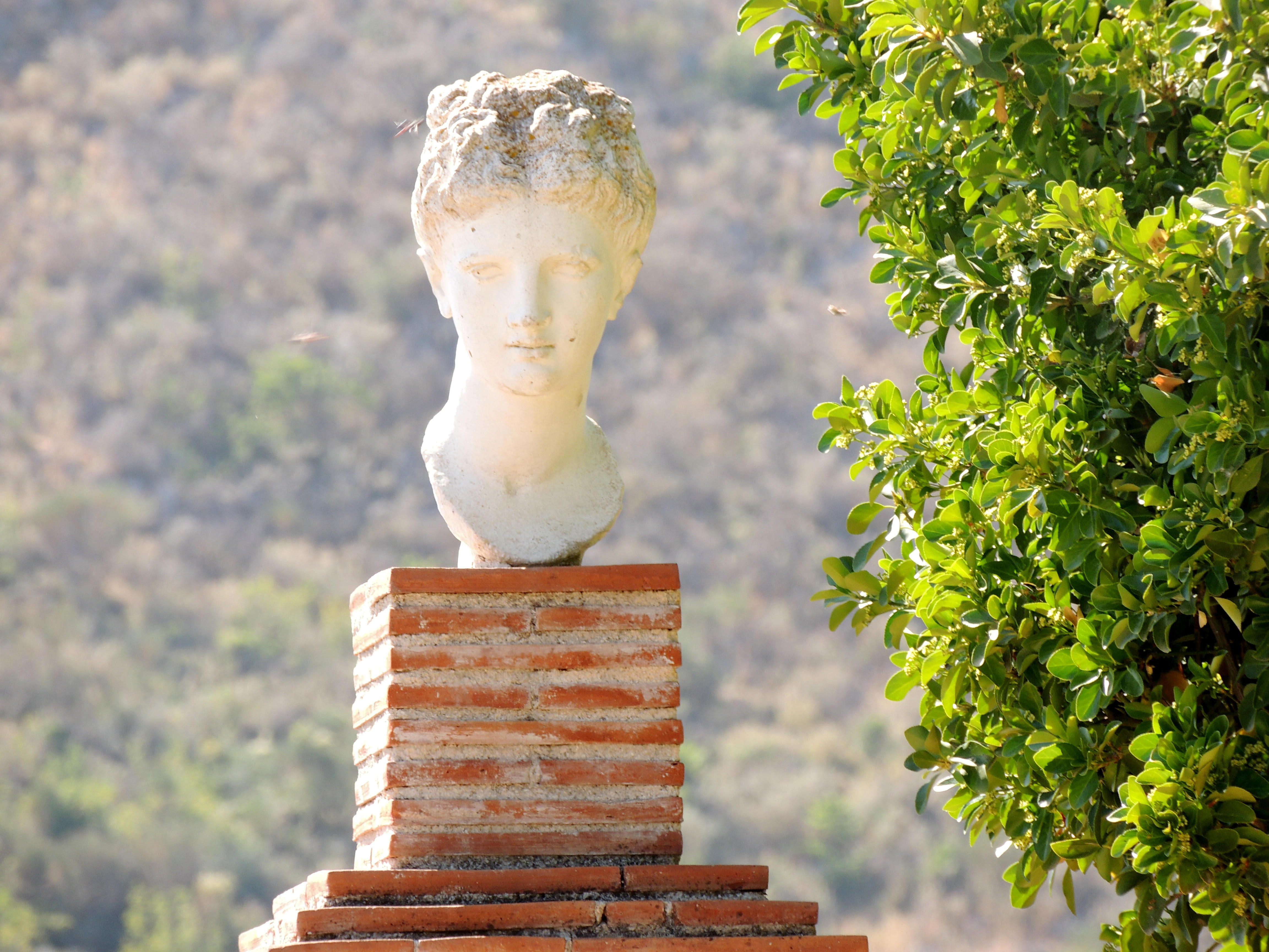 female head statue