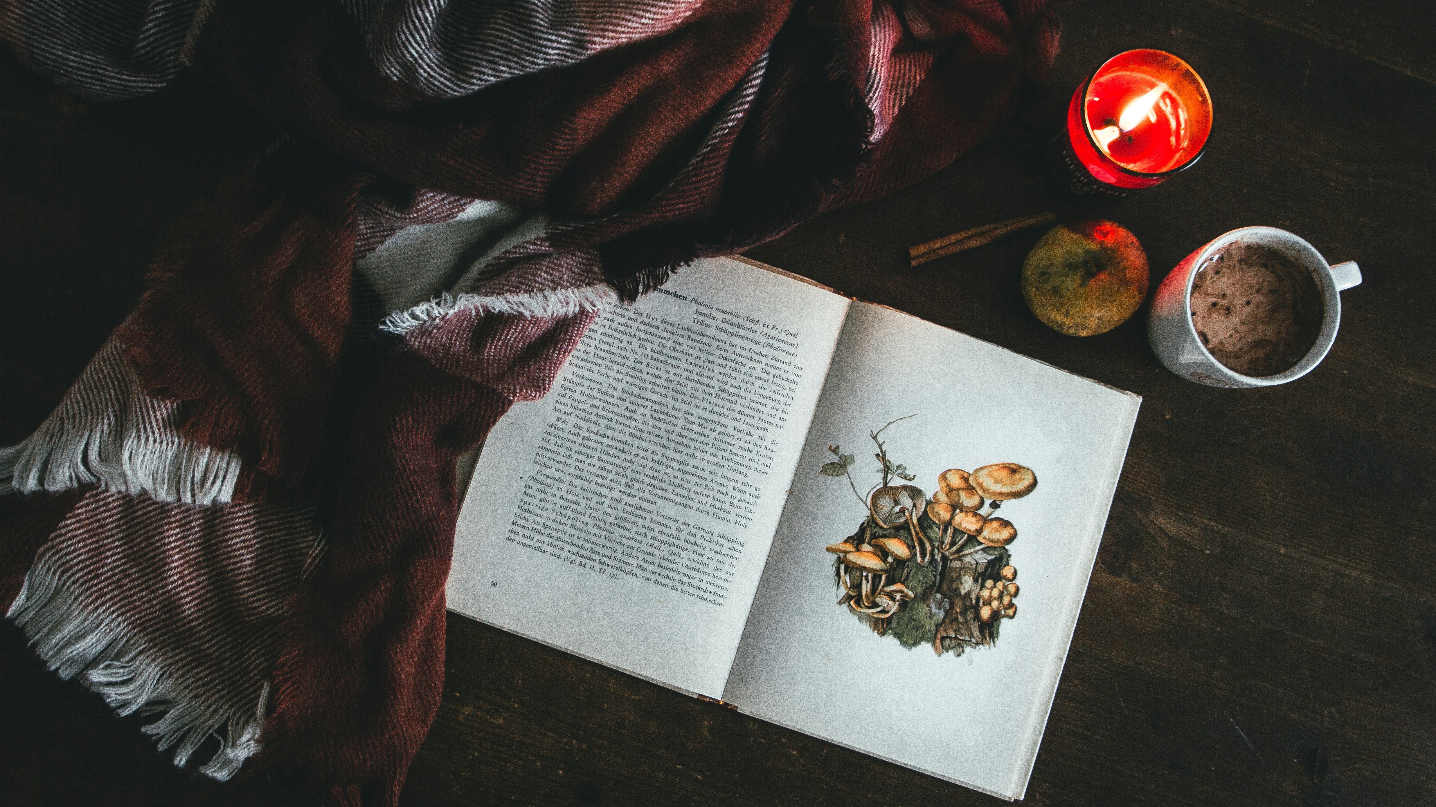 cozy book, blankets, and candles