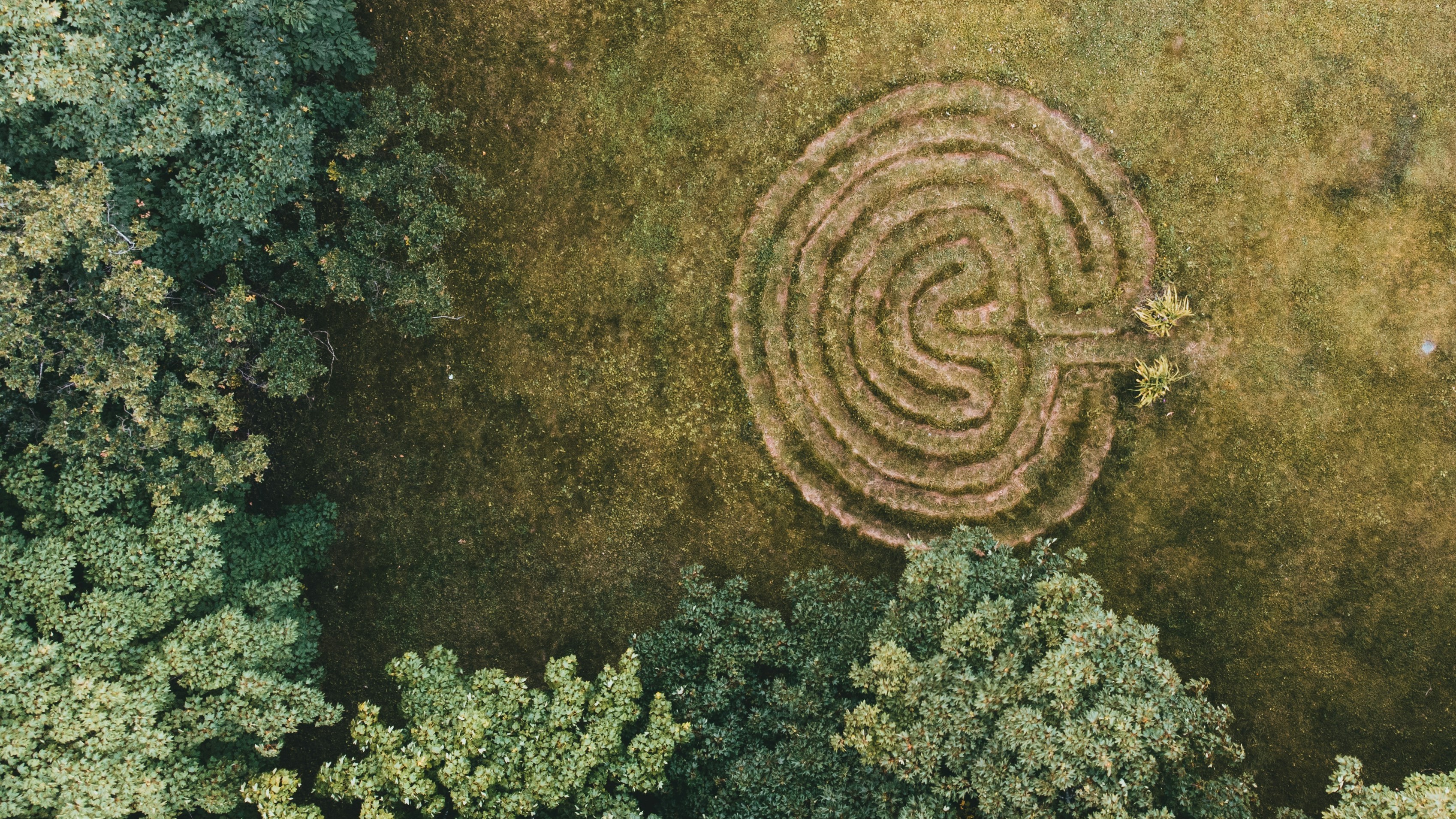 labyrinth seen from above