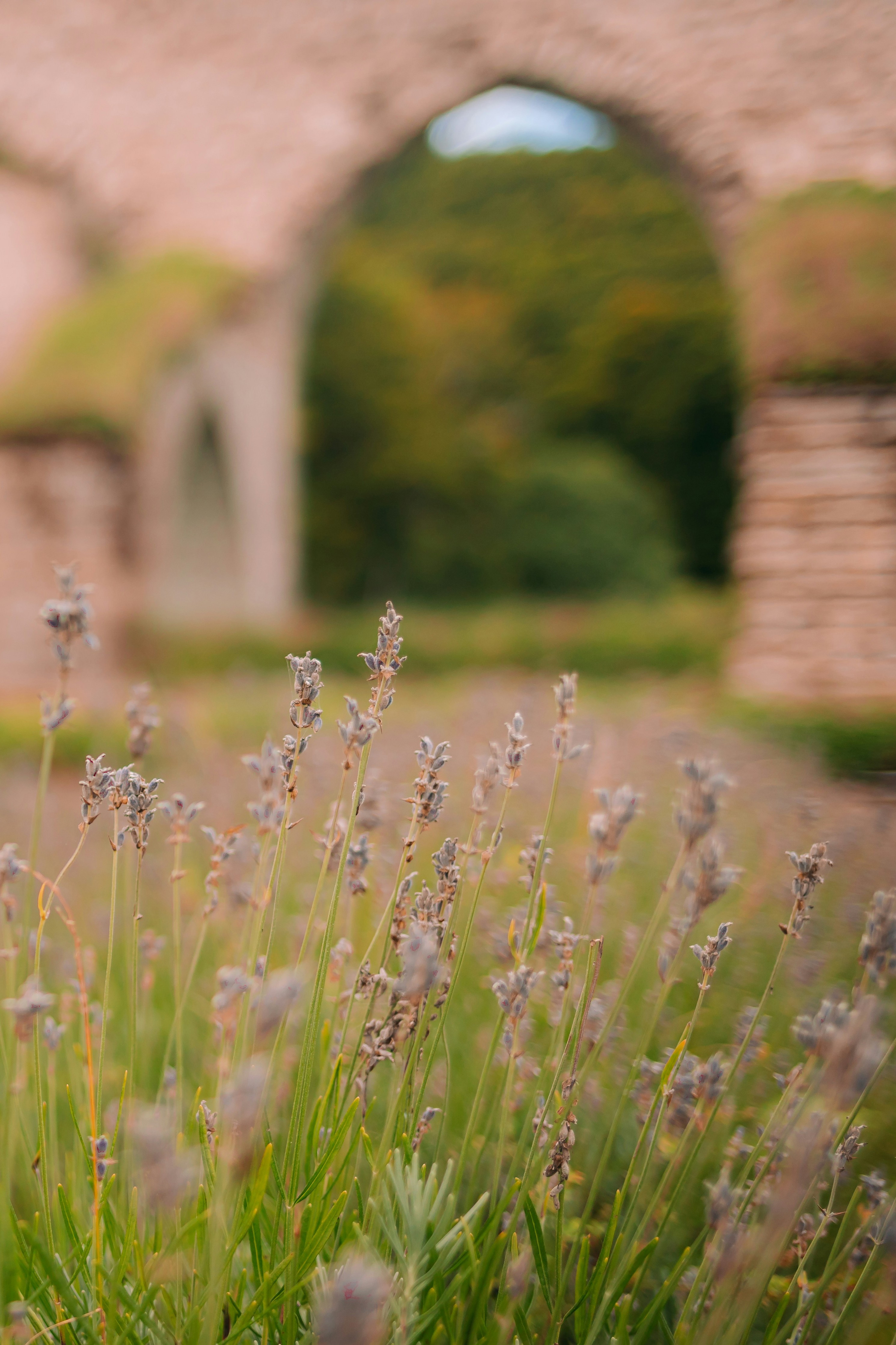 issue cover thumbnail