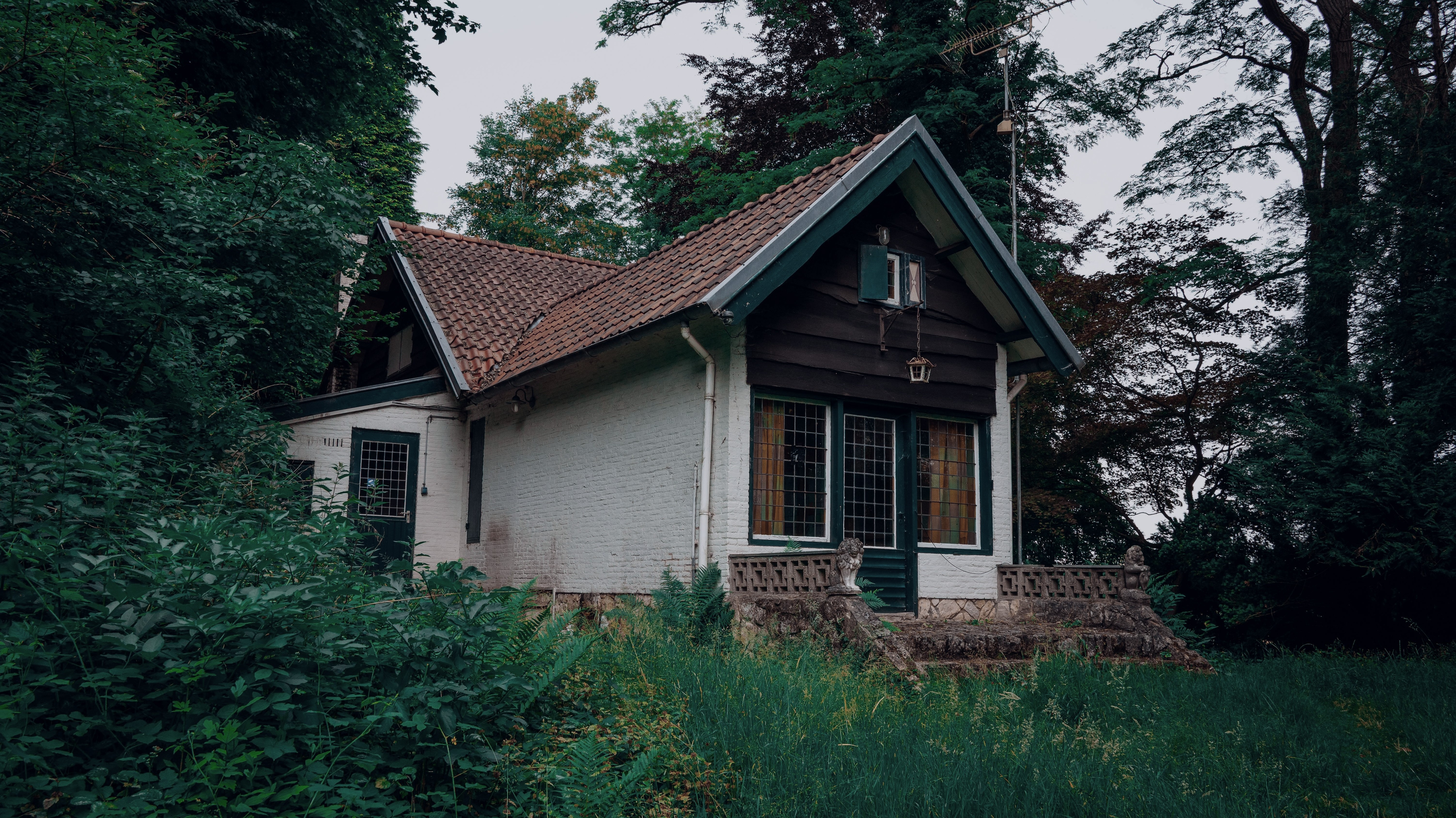 cottage in the woods