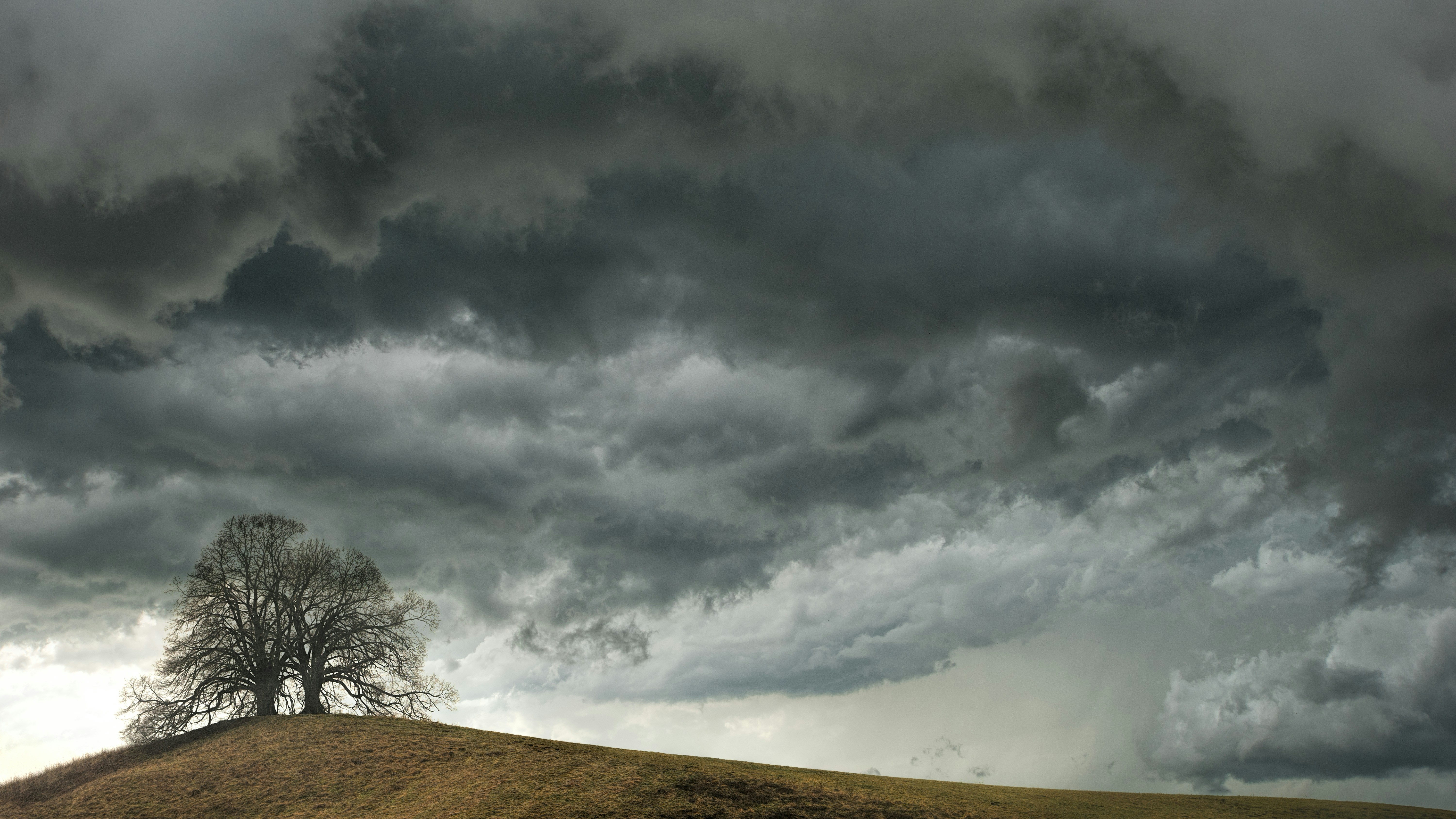 storm clouds rising over field and tree