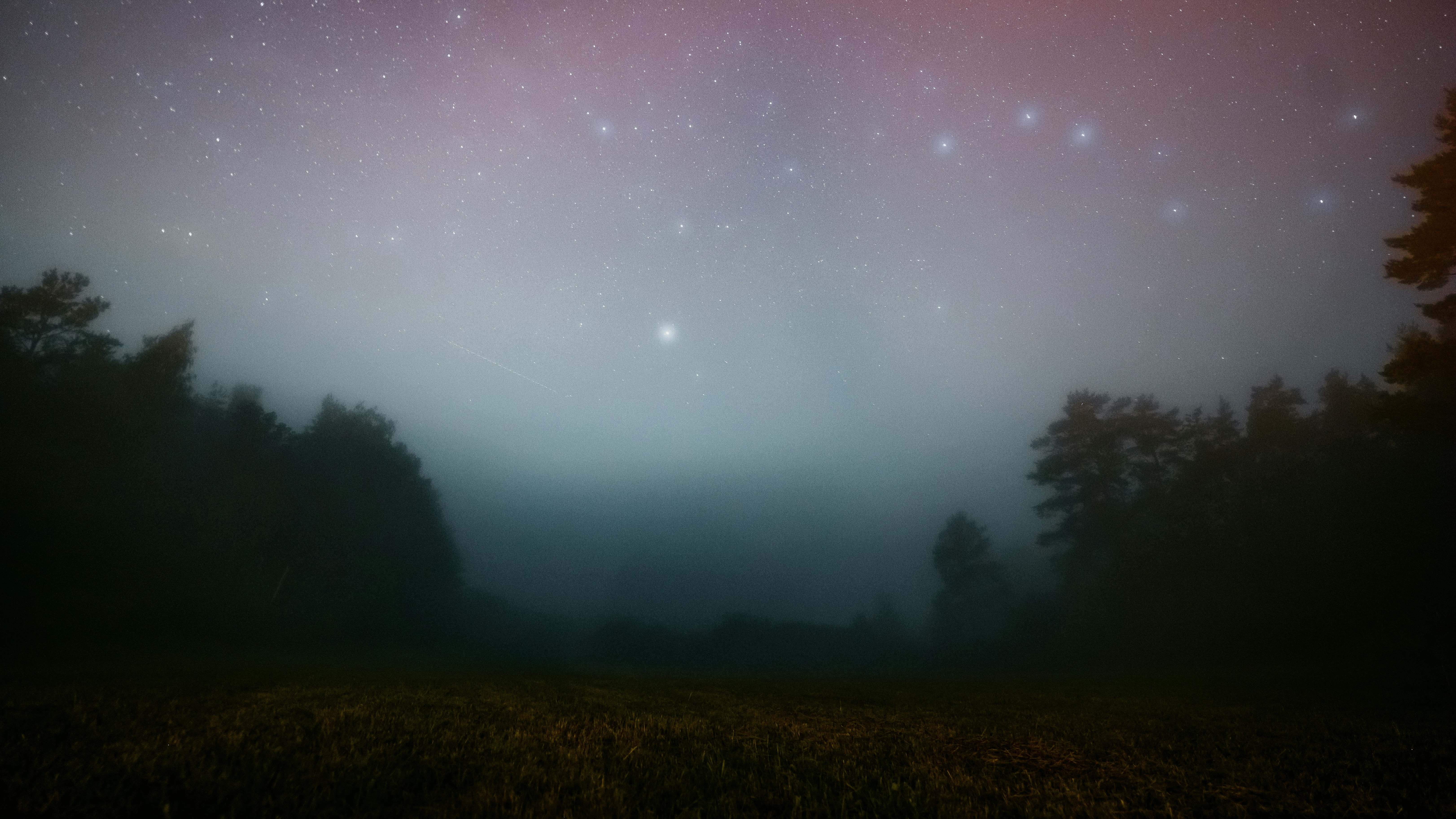 star shining in night sky above misty forest