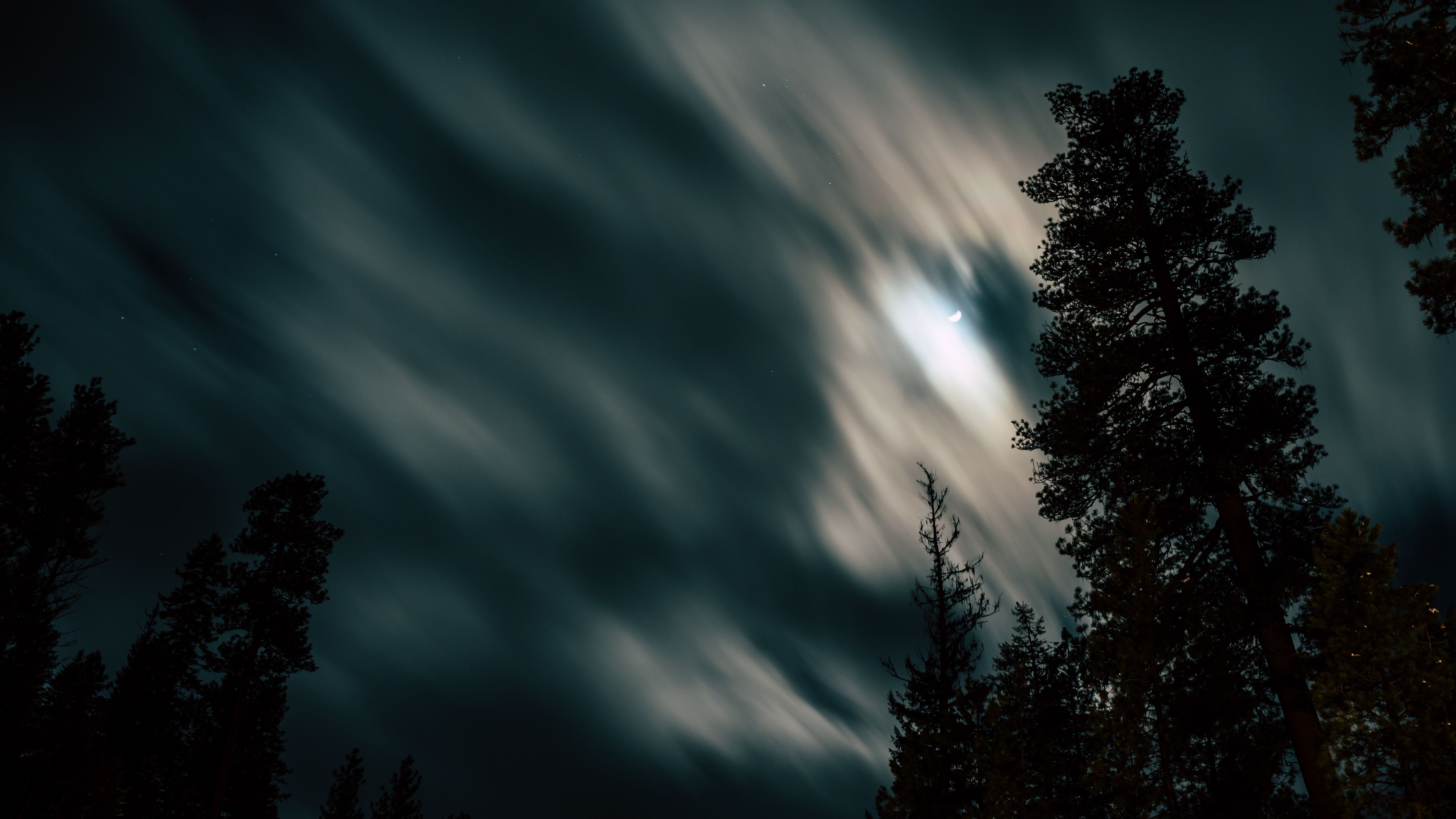 moon in windswept sky over forest