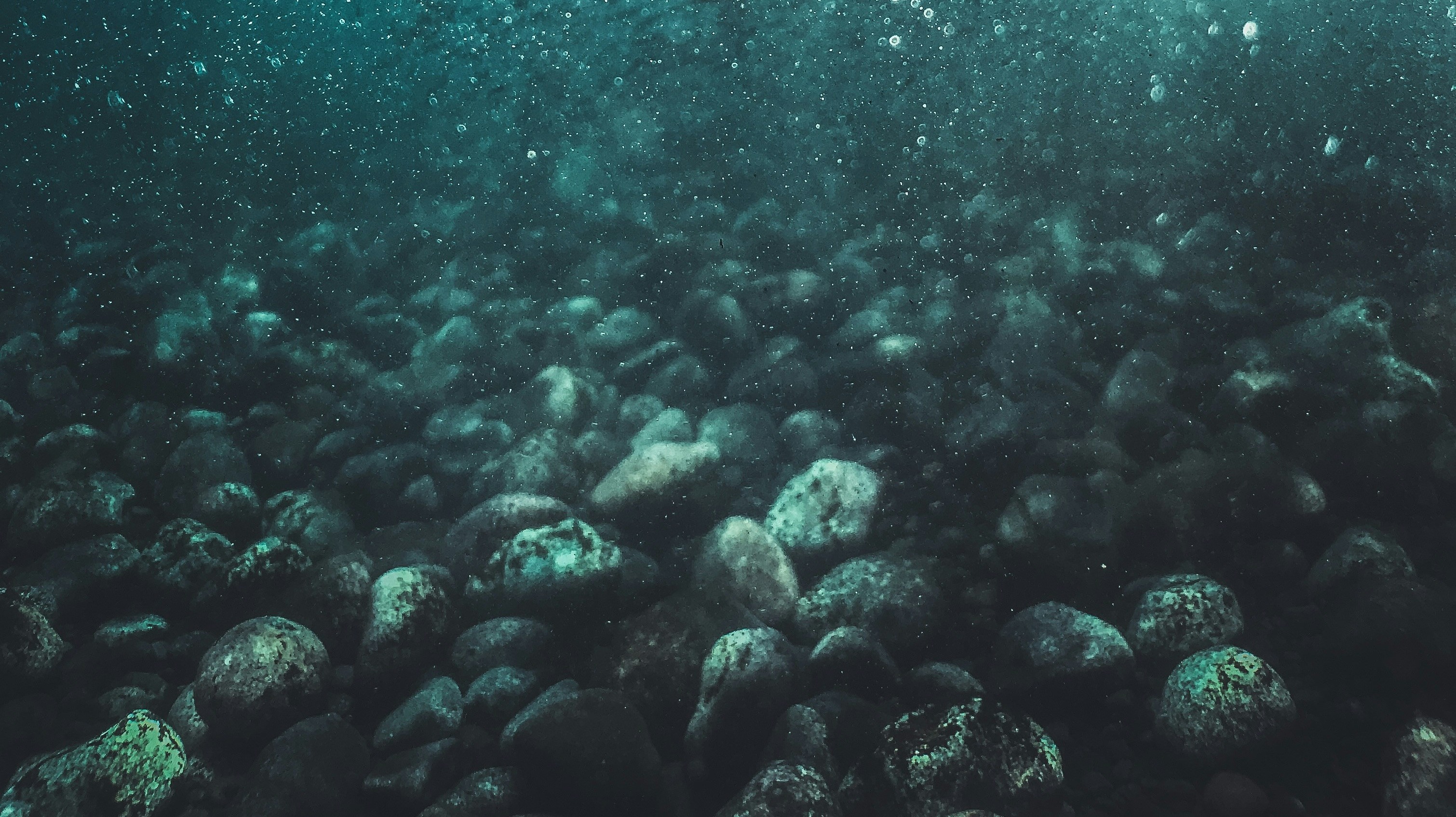 bottom of the sea