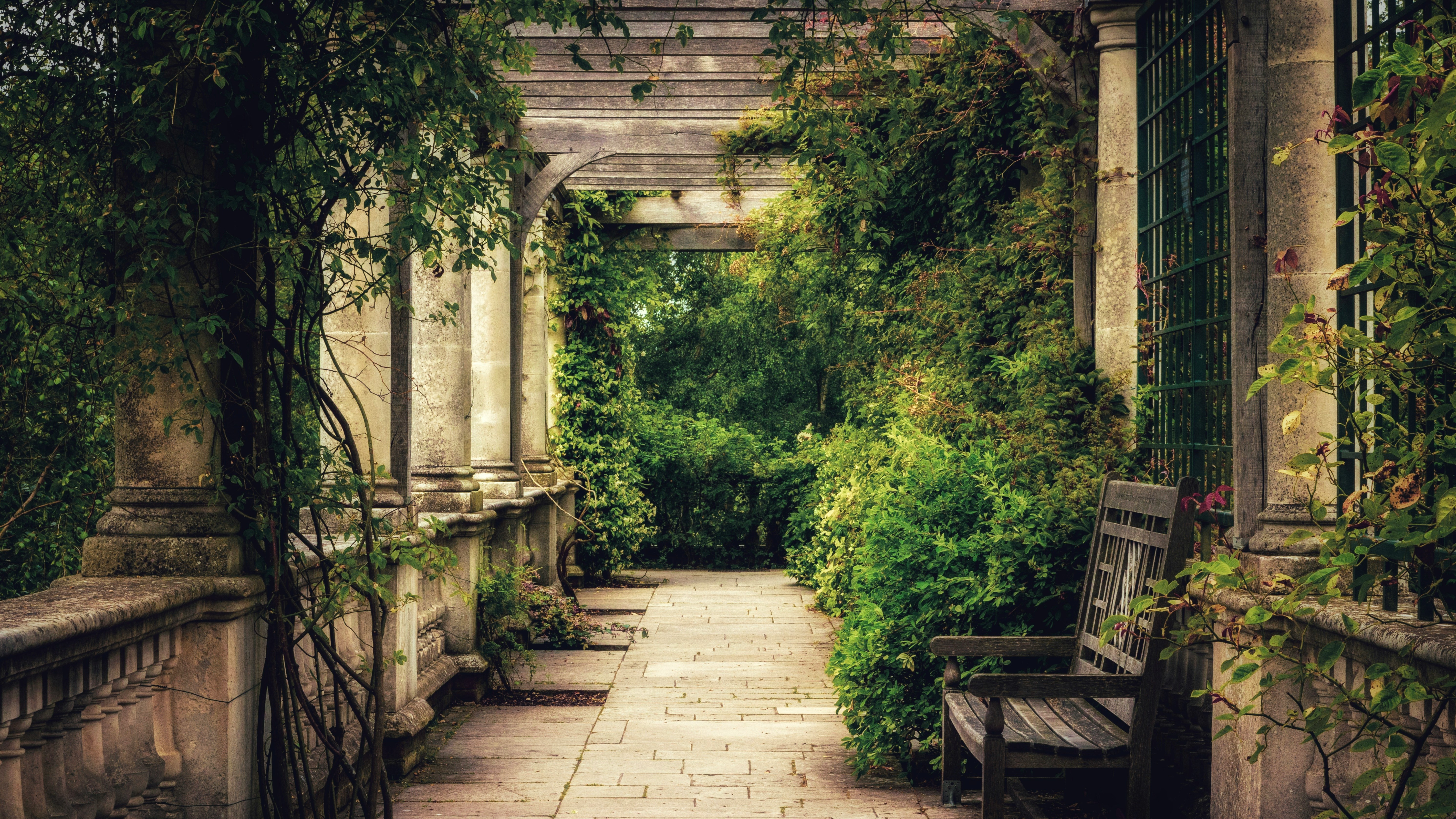 old garden