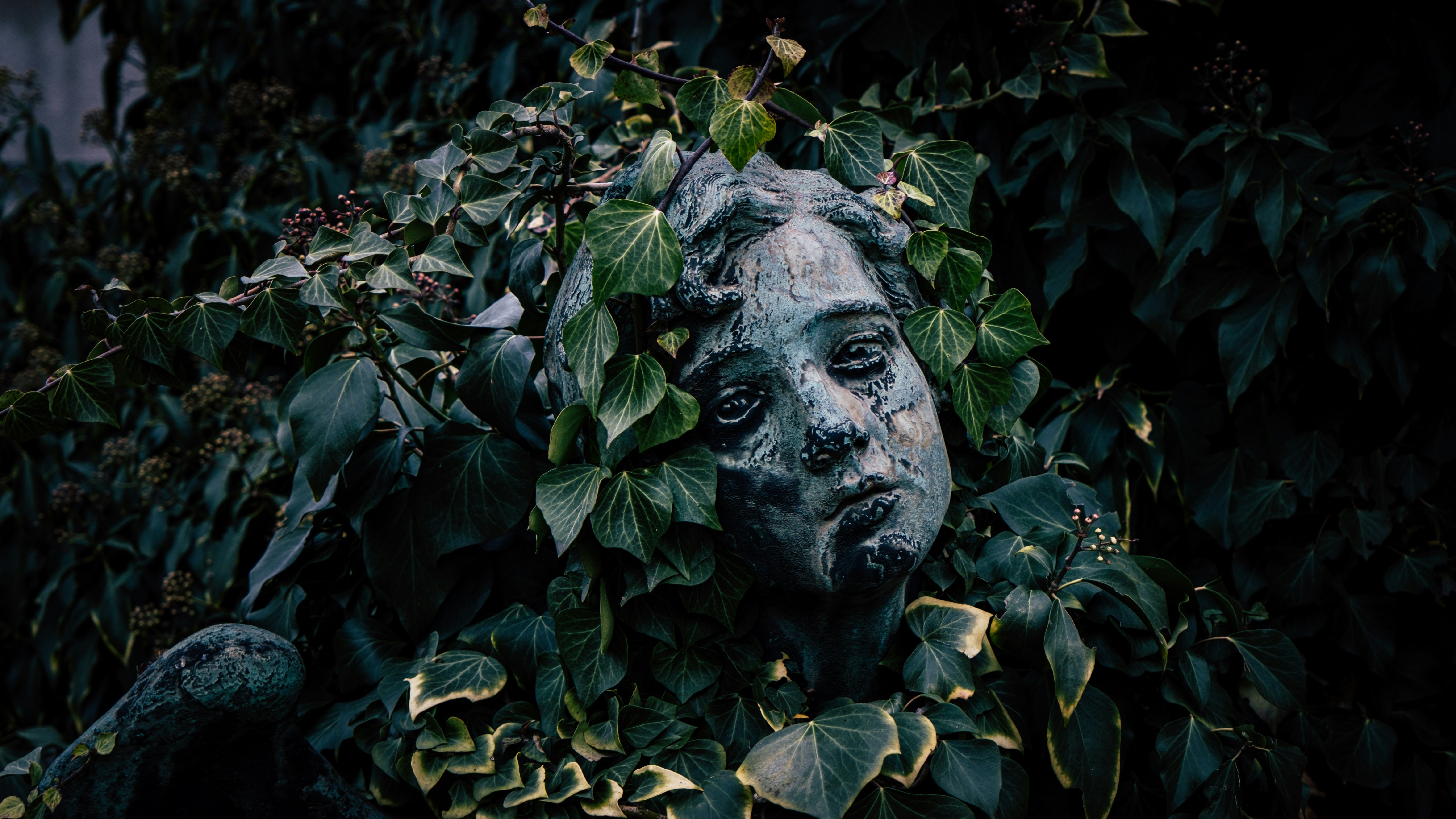 statue of womans head breaking through ivy in garden